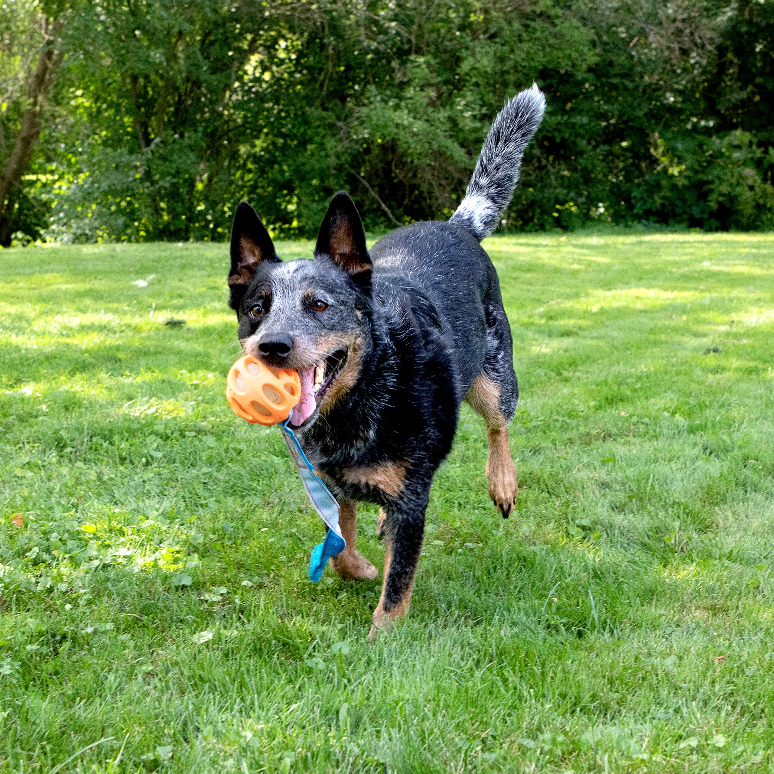 Chew King Ball Launcher - 2.5' Balls, Ball Launcher - 3' Balls, Medley 3Pk/2.75', Medley 3Pk/3.25', Small Float And Glow Flyer, Large Float And Glow Flyer