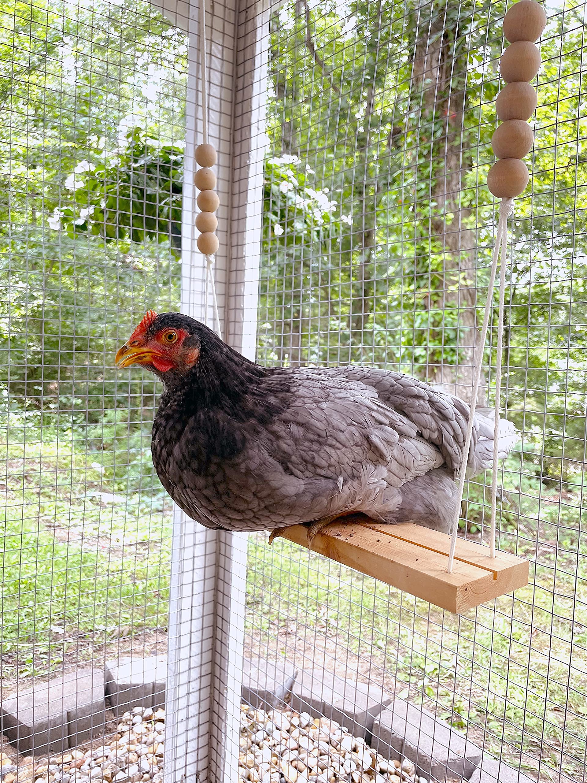 Chicken Swing Toy For Coop Handmade In Usa!!! Natural Safe Wooden Accessories Large Durable Perch Ladder For Poultry Run Rooster Hens Chicks Pet Parrots Macaw Entertainment Stress Relief For Birds