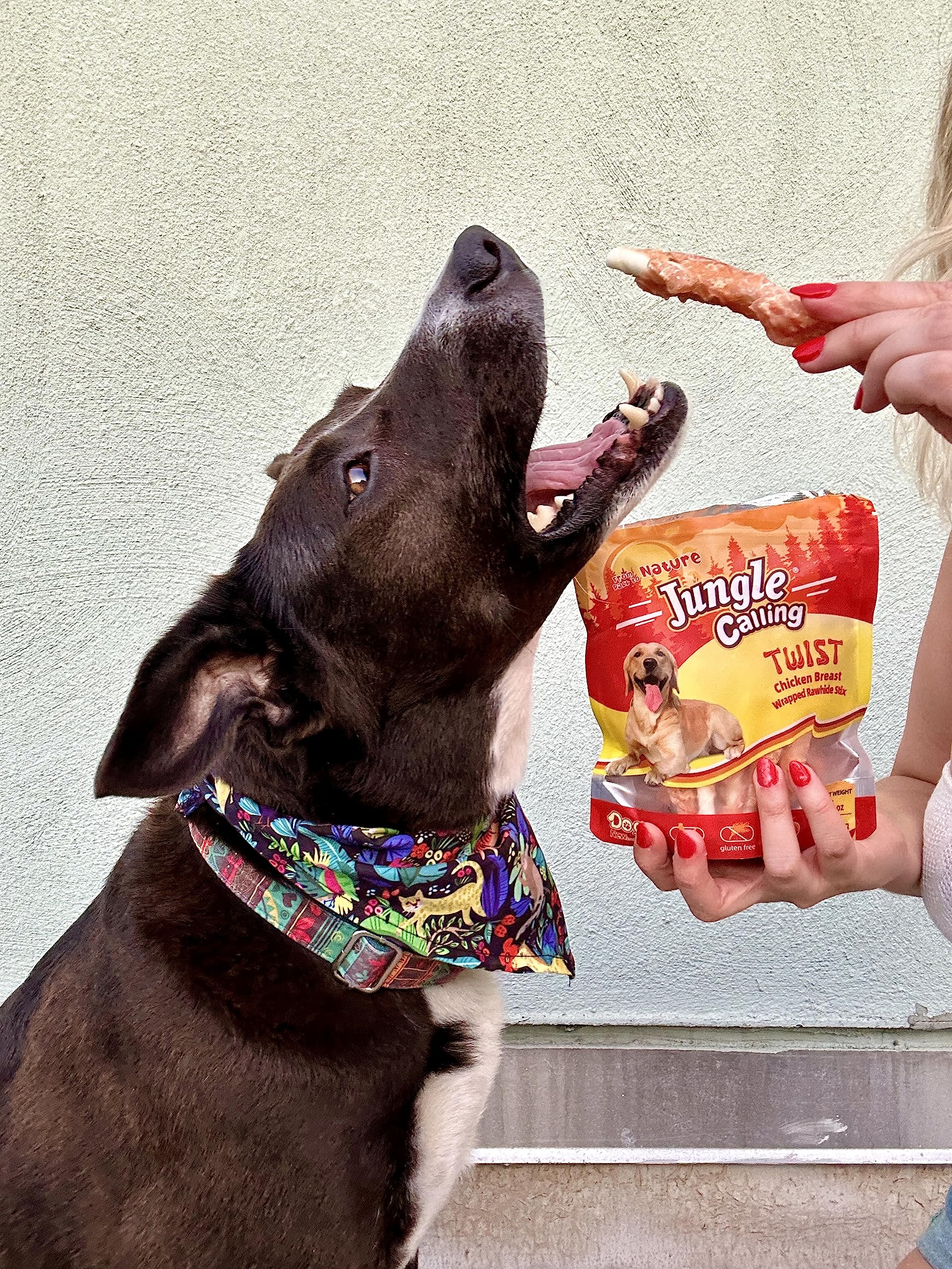 Jungle Calling Dog Treats, Chicken Wrapped Rawhide Sticks for Dogs, Delicious and Nutritious Training Reward Treats and Dog Chew
