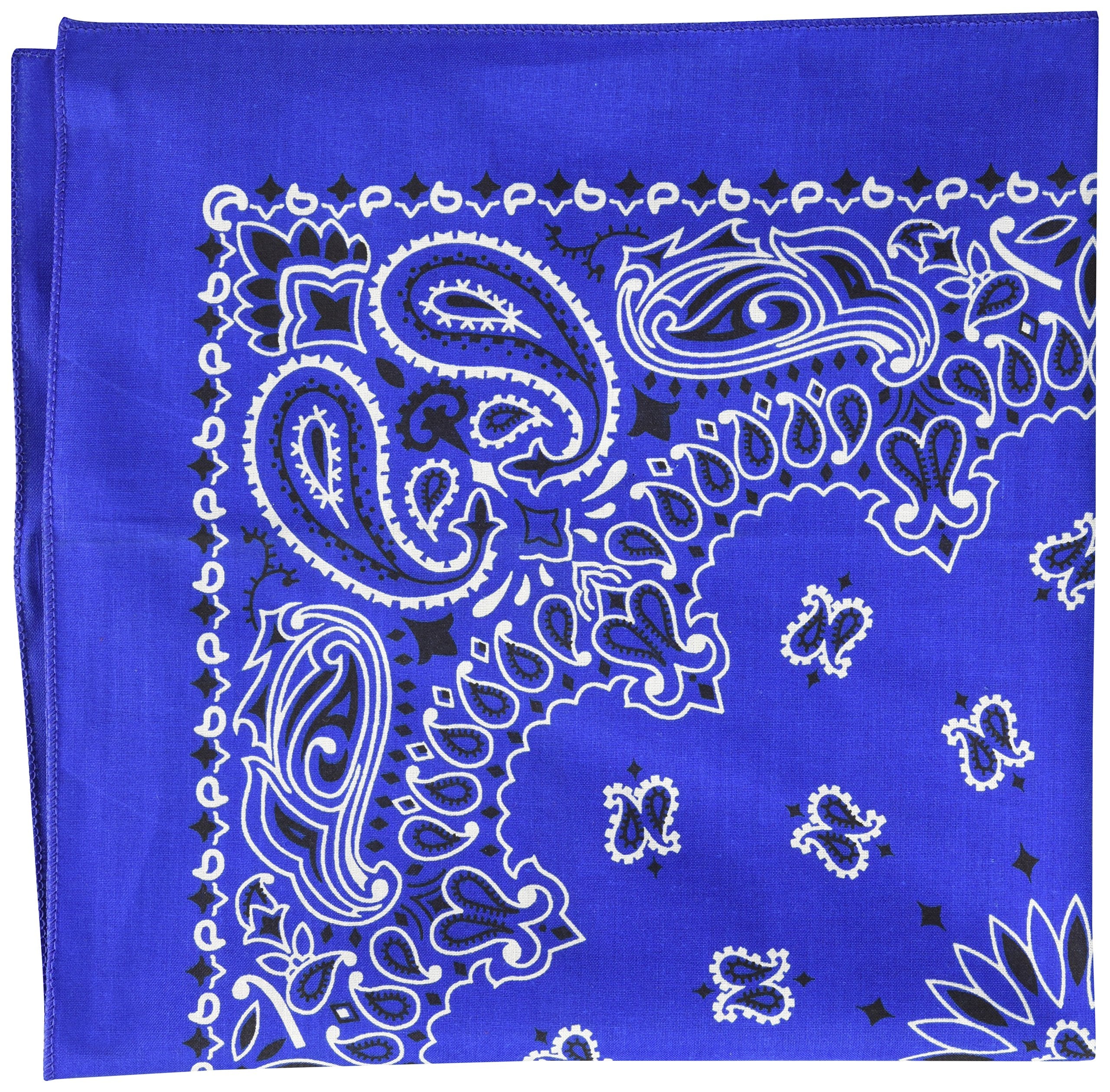 Carolina B22Pai 22' X 22' Bandanna-Royal Blue Paisley, One Size, Multi