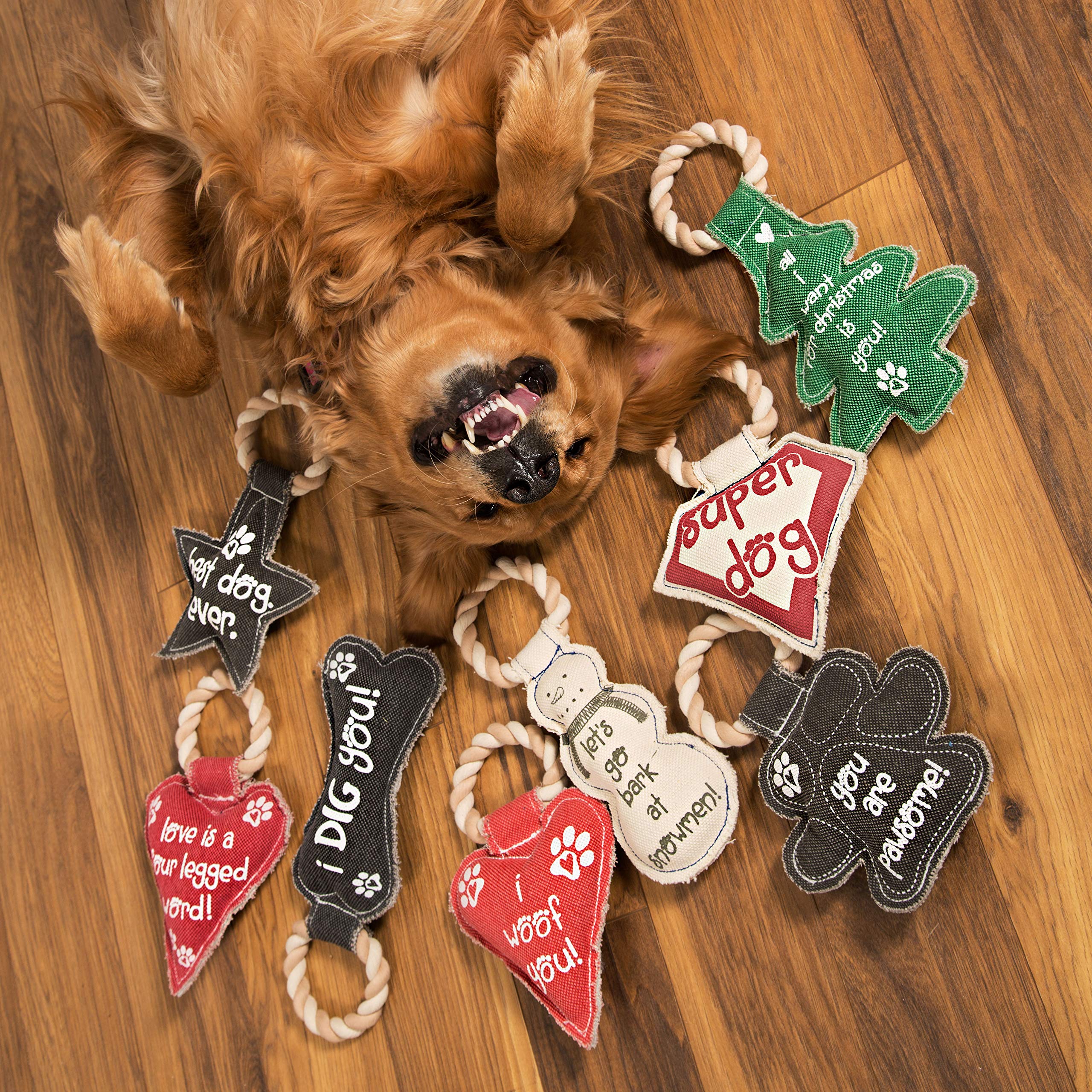 Pavilion Gift Company 45610 Pavilion'S Pets-Red Heart Shaped Canvas And Rope Dog Squeaky Toy-I Woof You