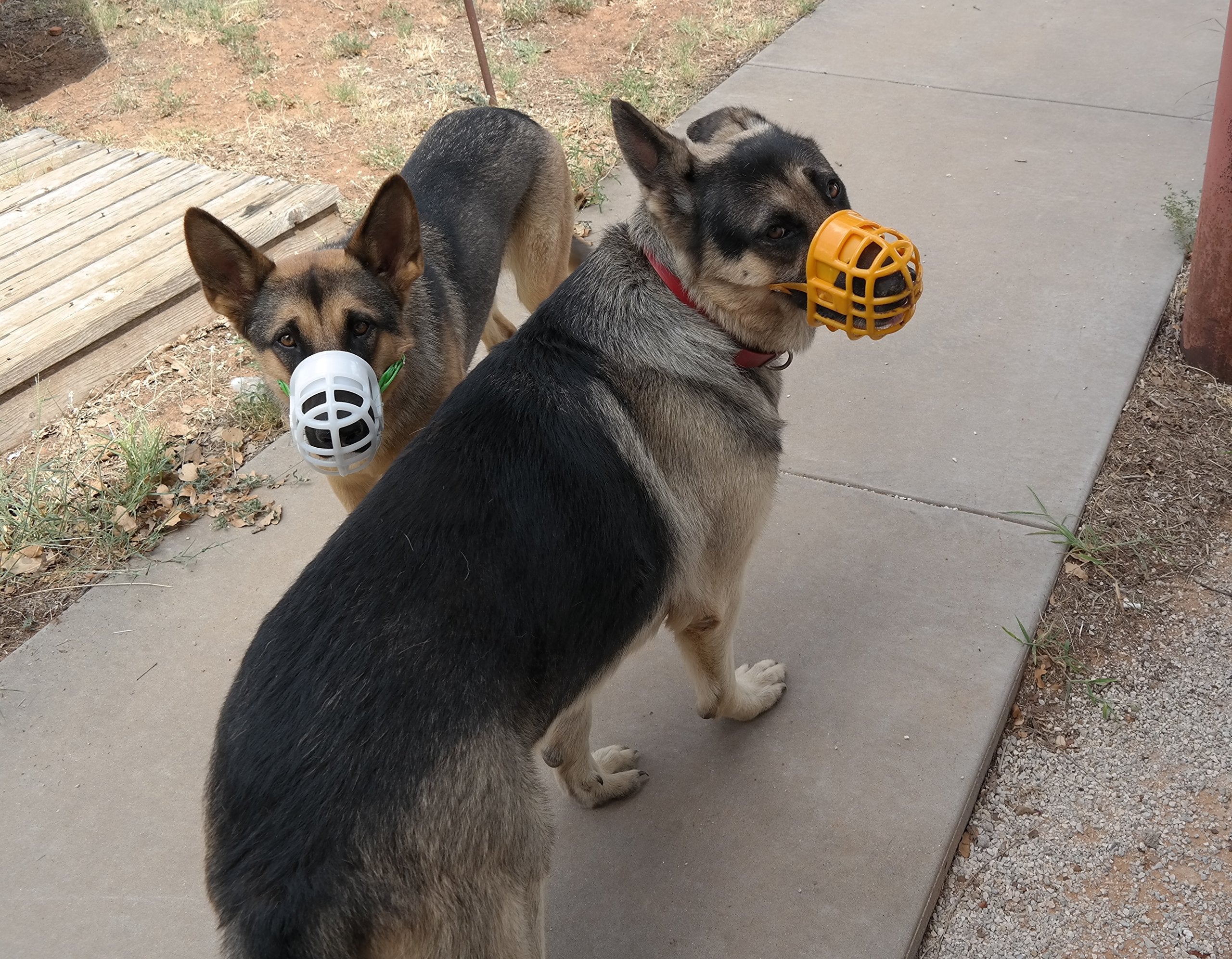 Birdwell Enterprises - Plastic Dog Muzzle With Adjustable Plastic Coated Nylon Headstall - Made In The Usa - (Medium, Black)