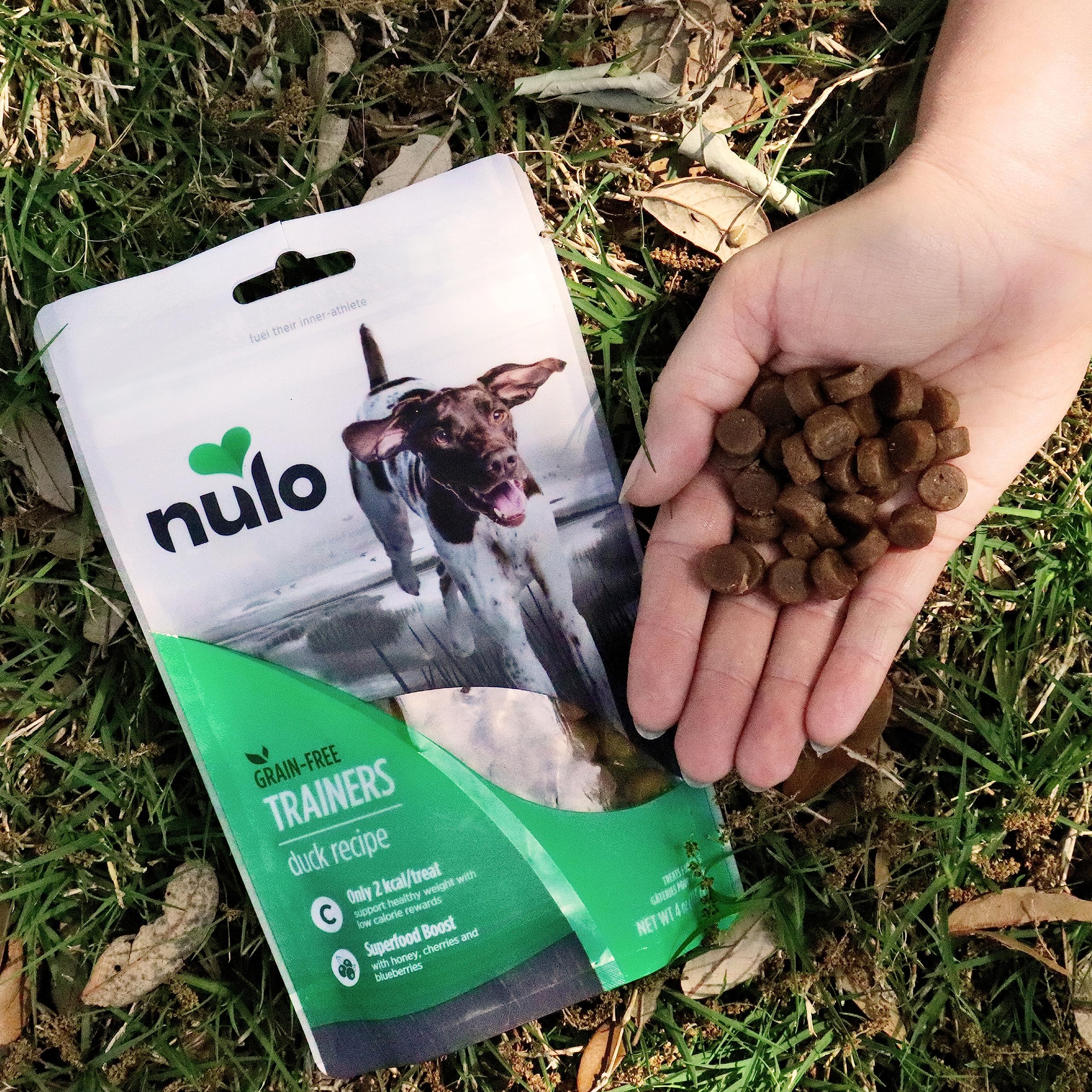 Nulo Freestyle Grain-Free Healthy Dog and Puppy Training Treats, Low Calorie Treats Made with Superfood Boost Ingredients, 2 Cal