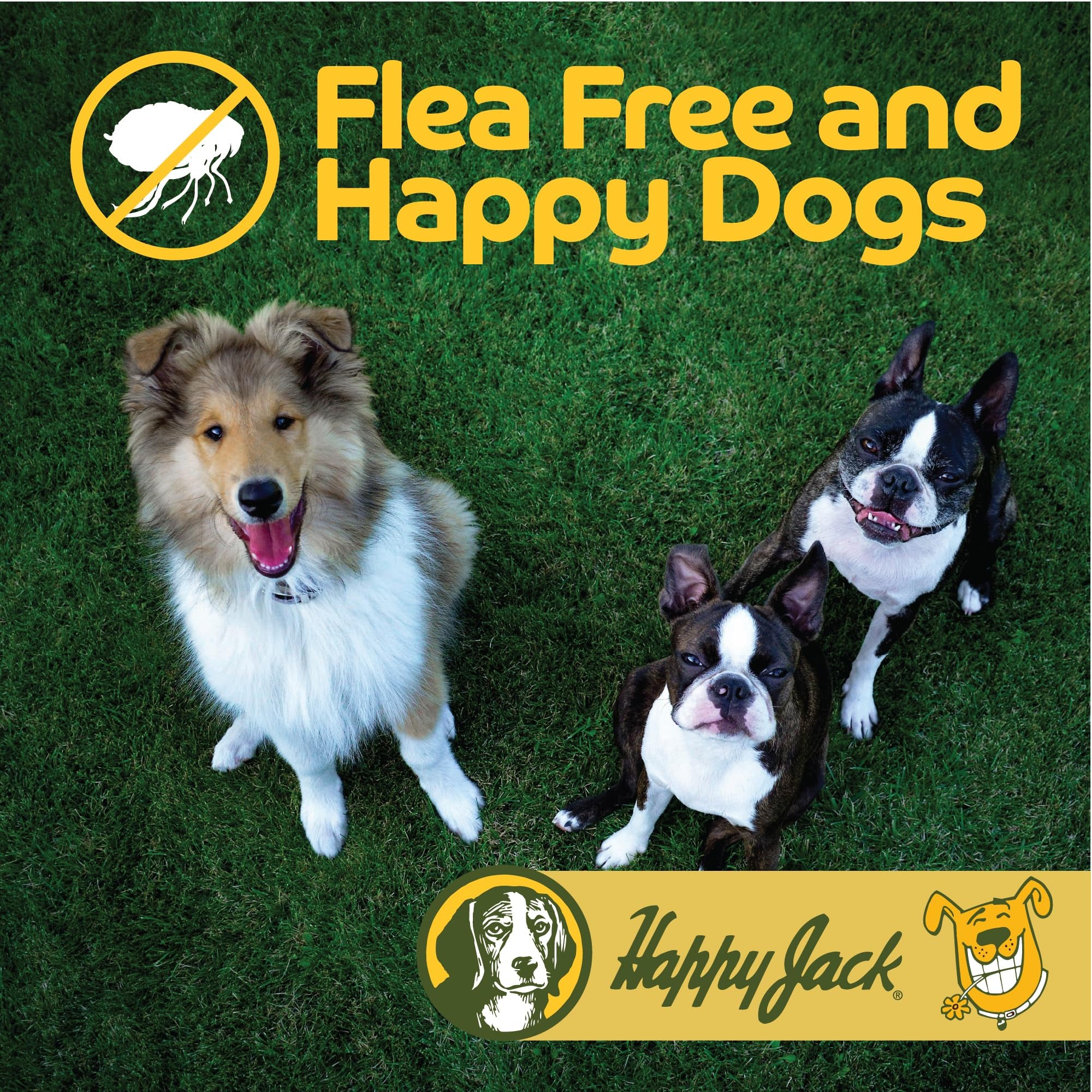 Happy Jack Flea and Tick Powder for Dogs & Puppies, 5 oz - Odorless, Non-Staining Treatment for Carpets, Furniture, Kills Pests & Lice