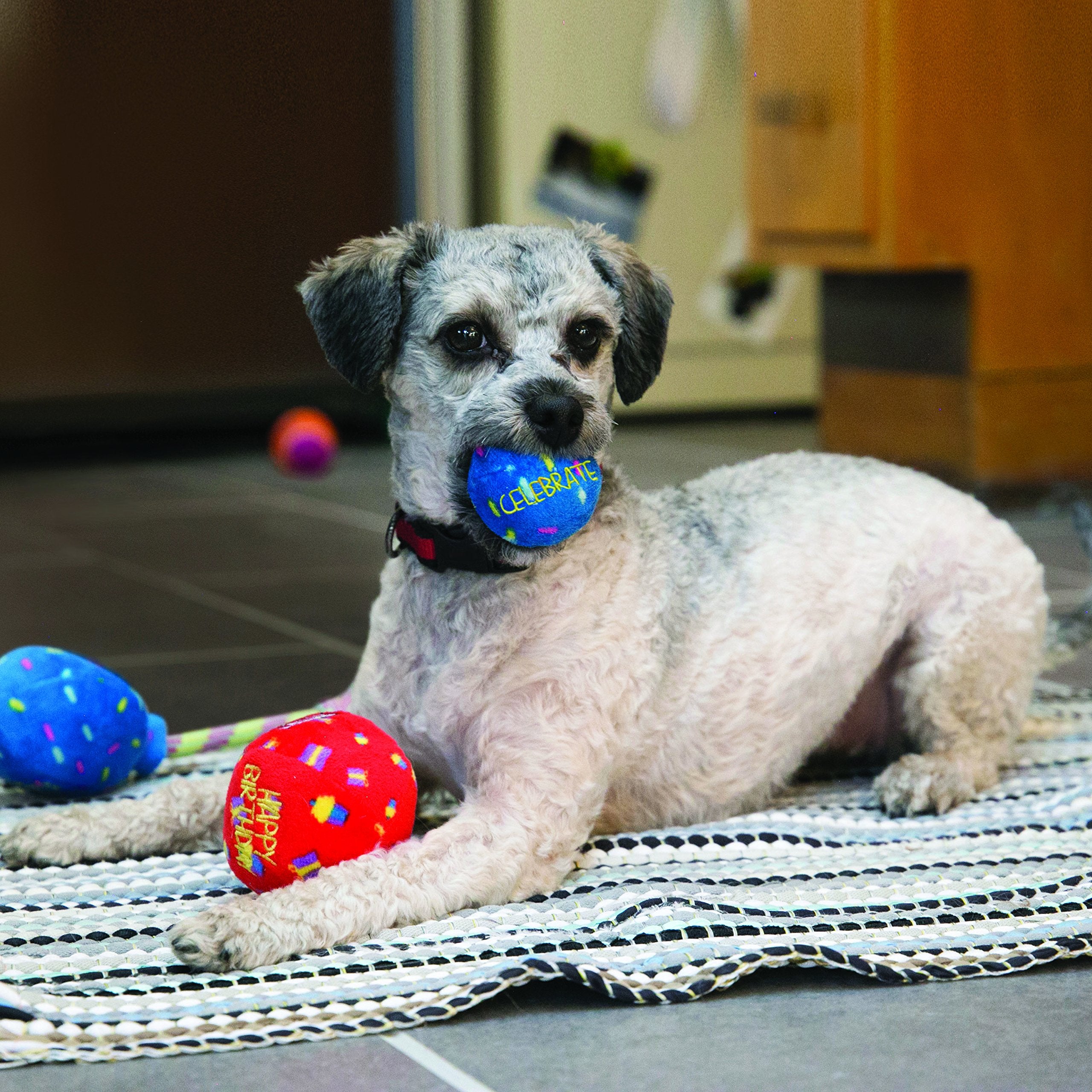 Kong Occasions Birthday Balls Dog Toy, Small