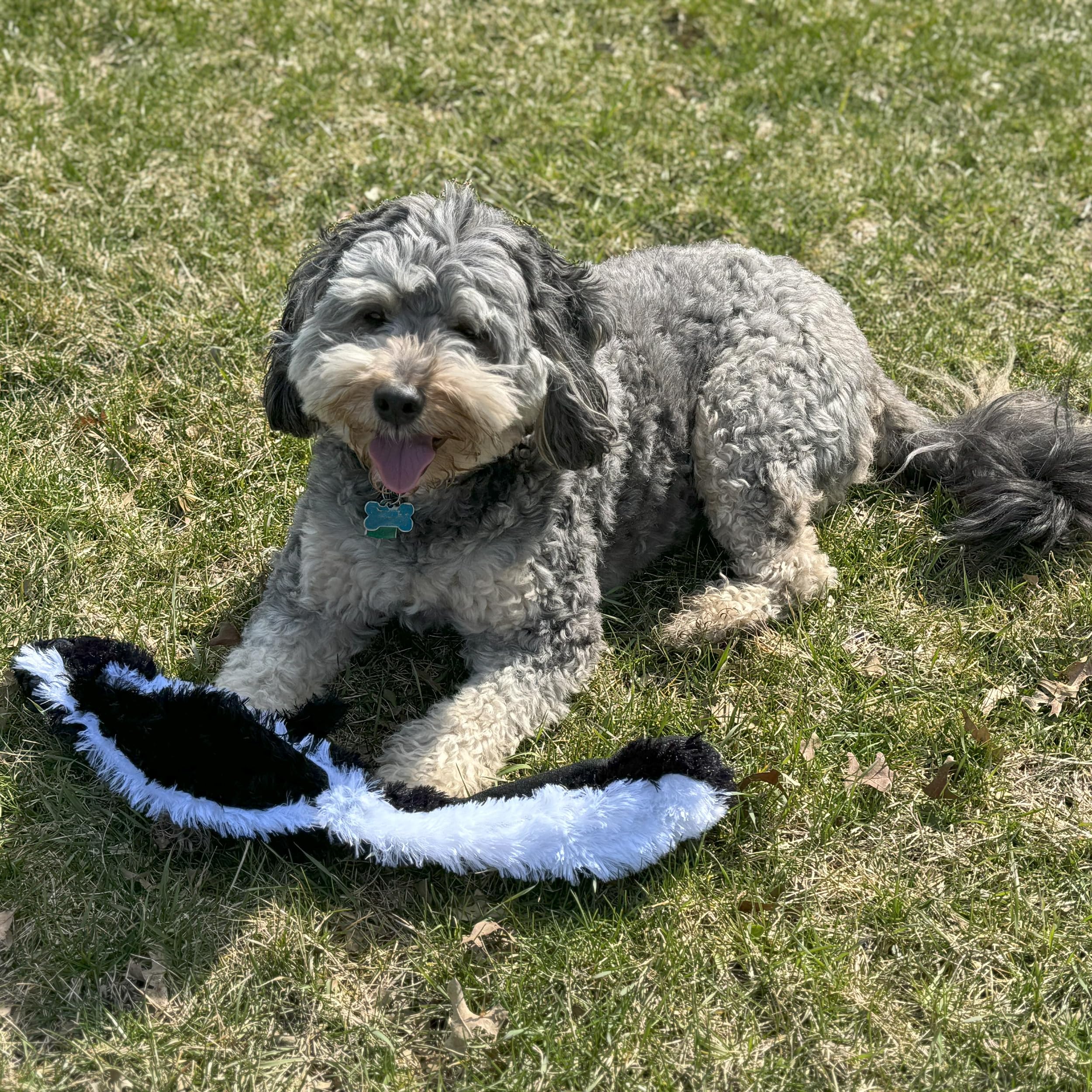 Skinneeez Skunk Dog Toy