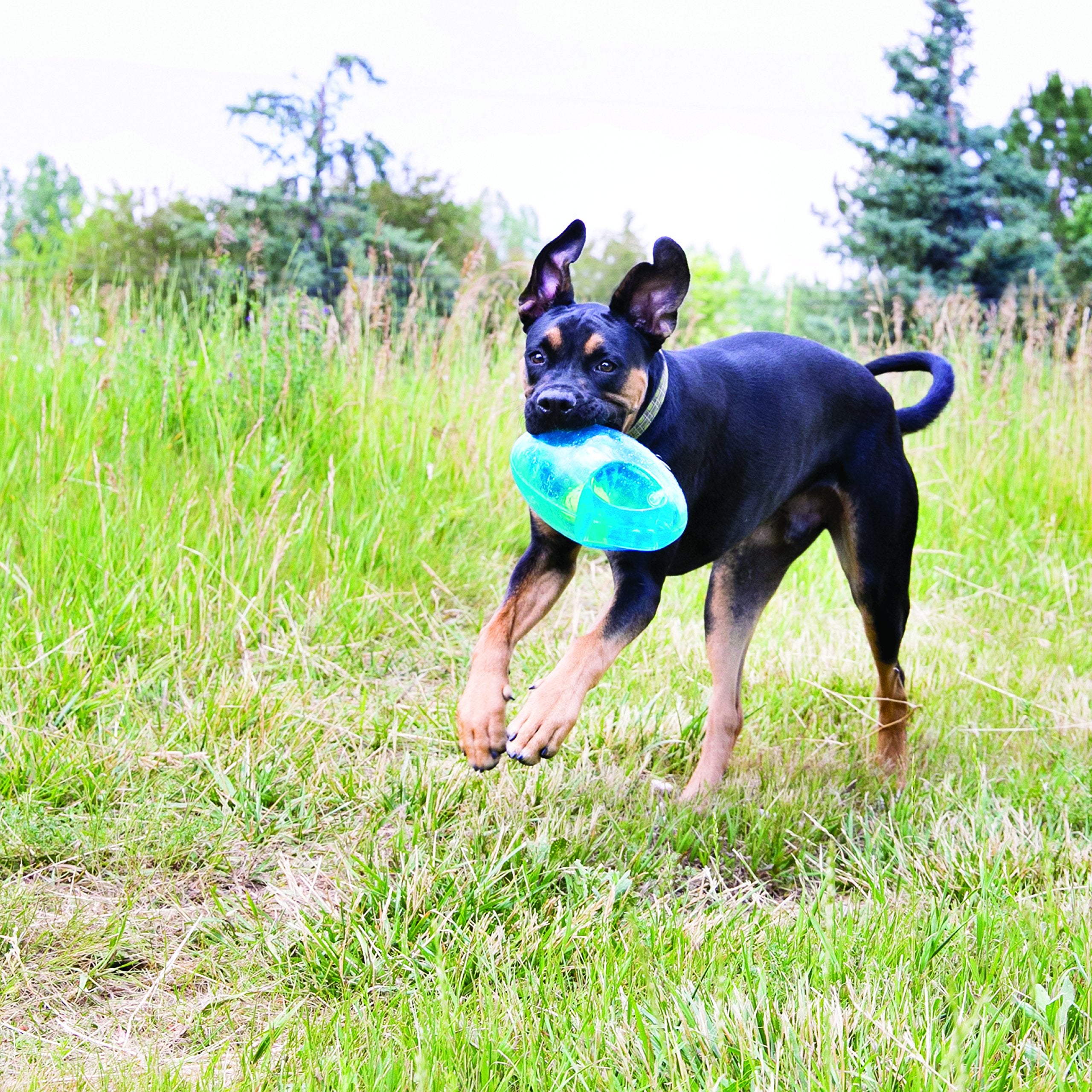 Kong Jumbler Football - Interactive Dog Toy For Dog & Puppy Playtime - Fetch Toy With Tennis Ball - Dog Supplies For Engaging Play (Large/Extra Large)