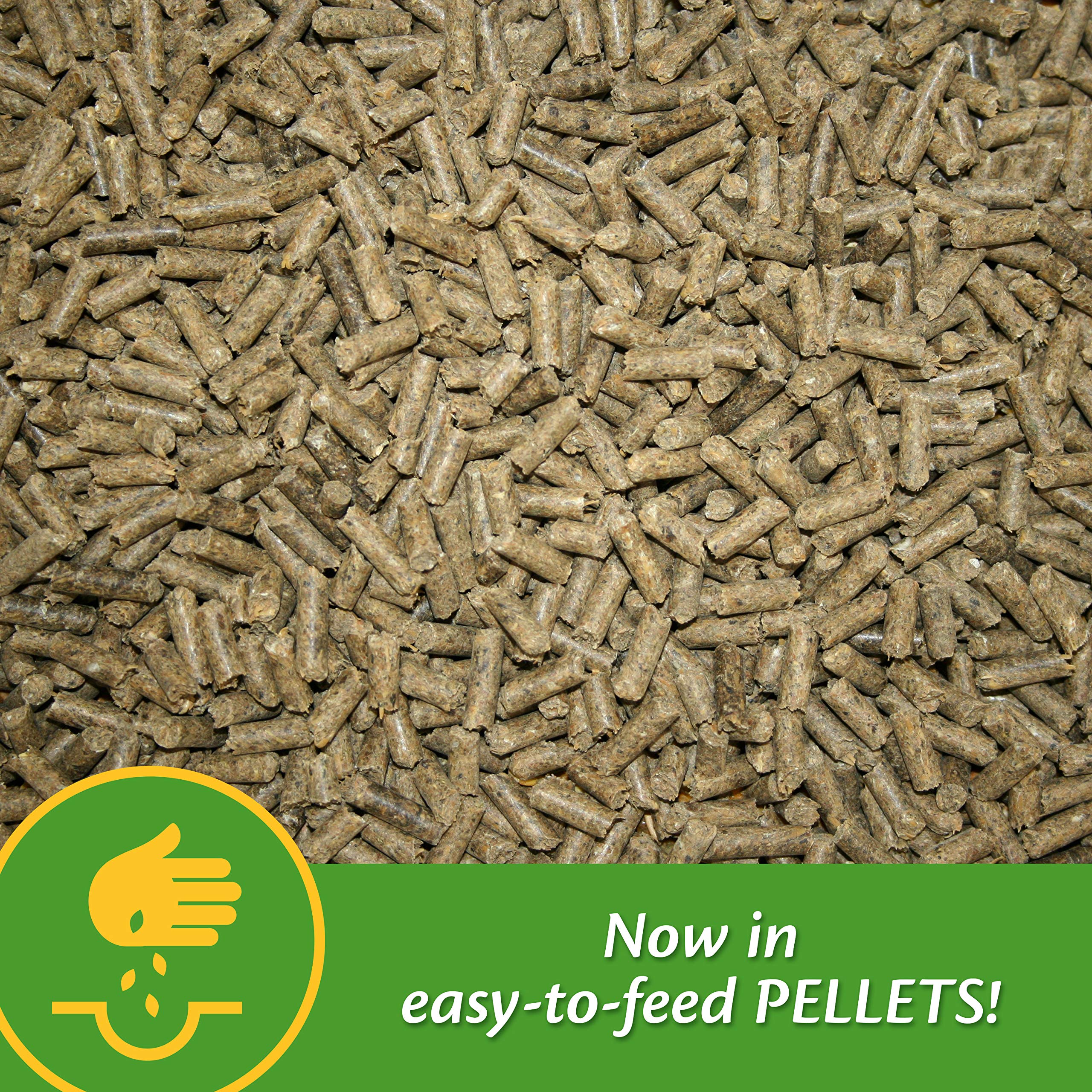 Farnam Grow Colt Supplement for Growth & Development, Supports Normal, consistent Growth in First Years of foals Life, 3.75 lbs