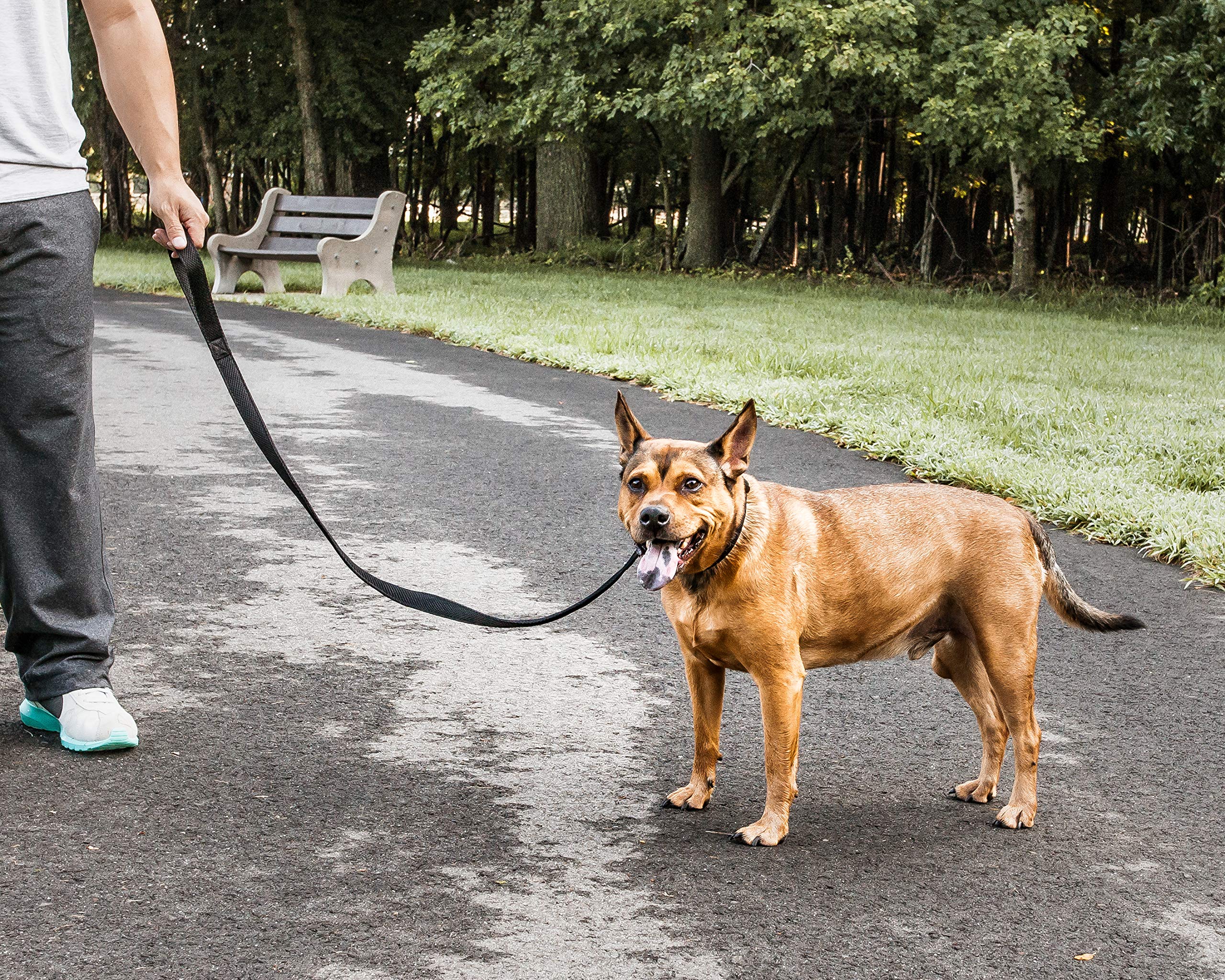 Pet Life        Aero Mesh Dog Leash Featuring Dual-Sided Ventillated Mesh - Connects To Any Dog Harness Or Dog Collar With Swive
