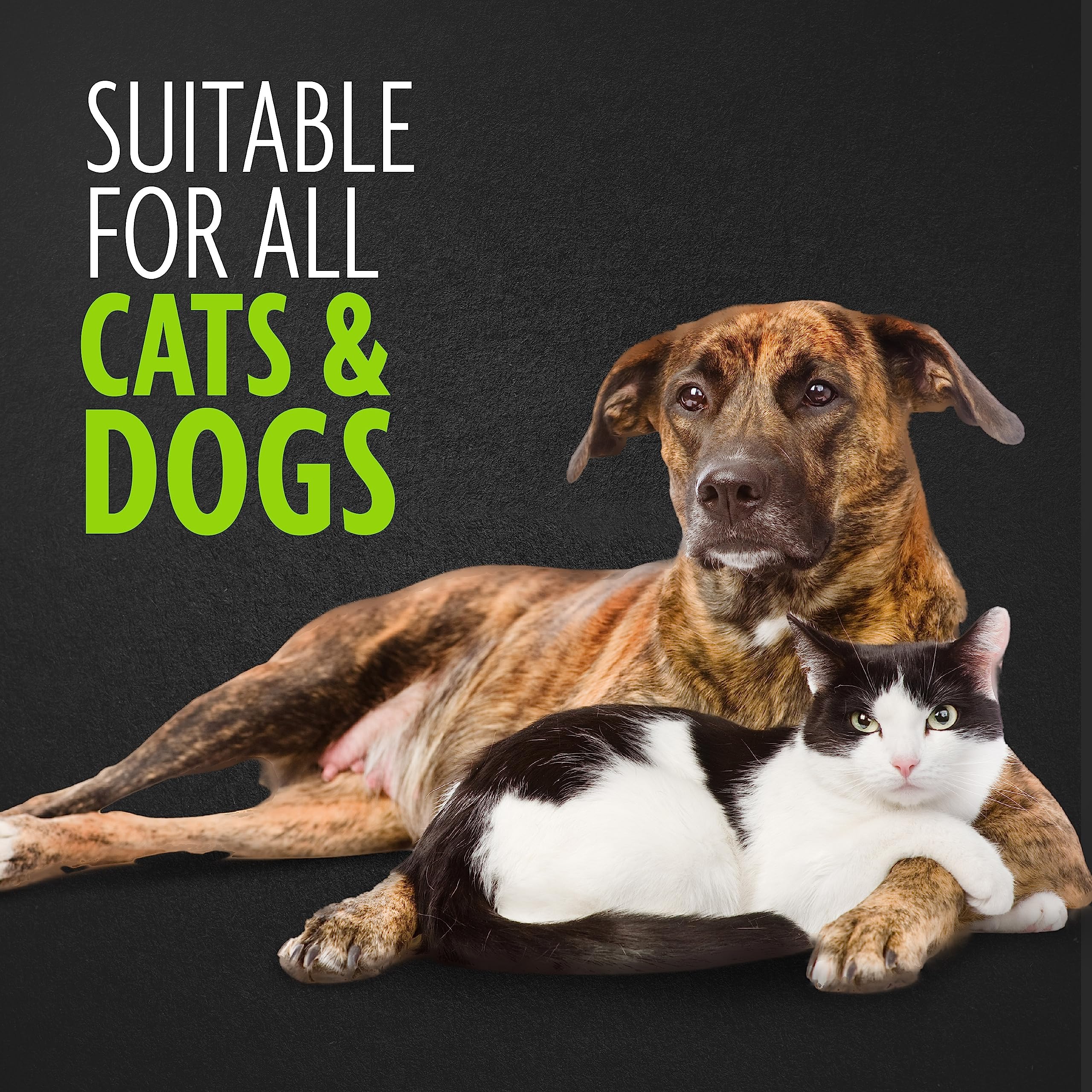 Furminator Bathing Brush, Dog Bath Brush, Loosens Pet Hair, Dispenses Shampoo And Conditioner, Gray