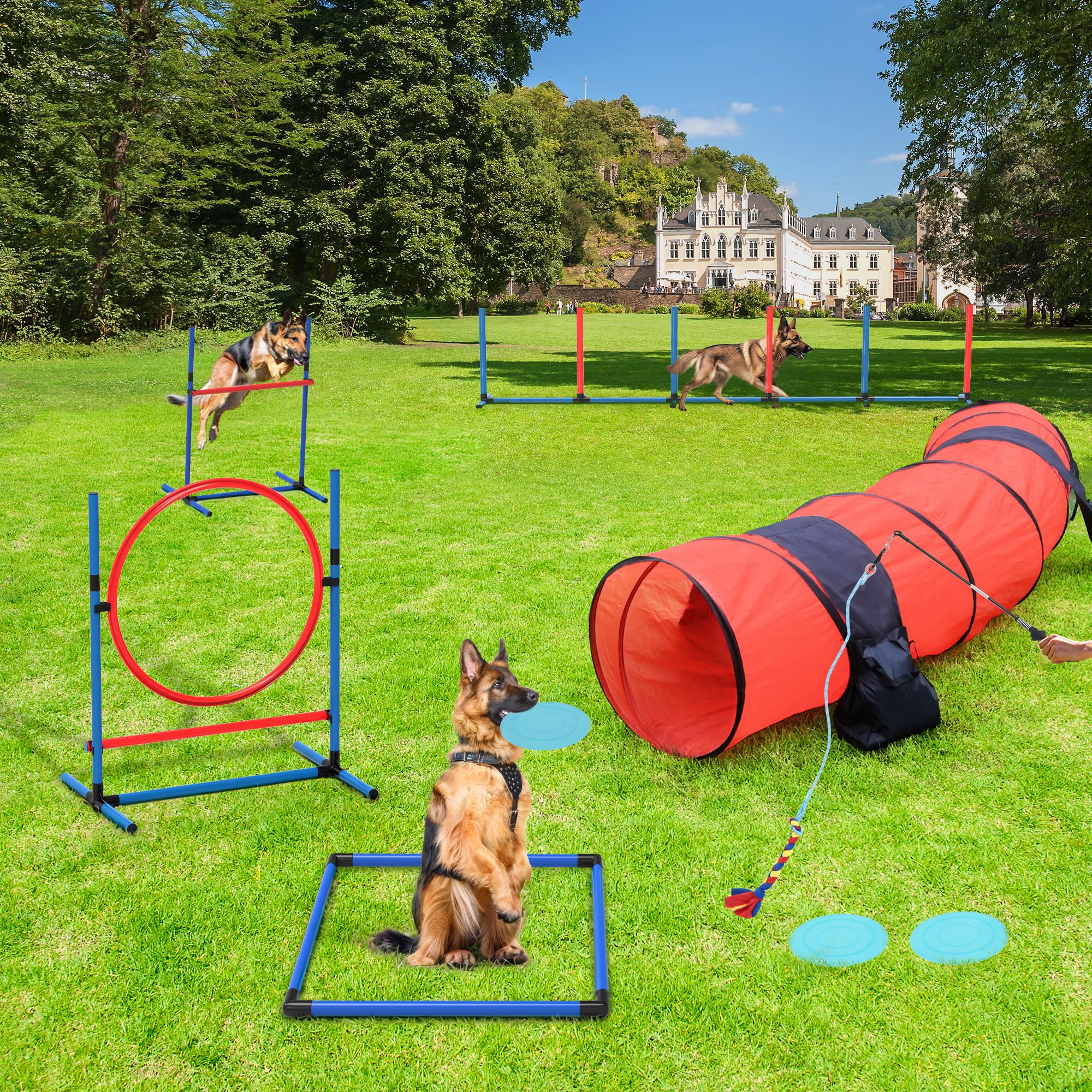 Yitahome Dog Agility Training Equipments: Includes Flirt Pole Accessorie, 3 Flying Discs, 1 Agility Tunnel, 2 Jumps, 6 Weave Pol