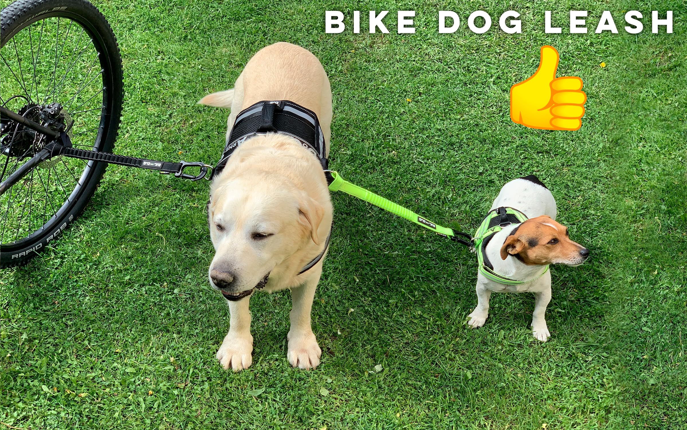 Dog Bike Leash, Hands Free Dog Leashes. Dog Bicycle Lead For Small, Medium And Large Dogs, Designed To Lead One Or More Dogs With Maximum Safety, Easy Assembly Without Tools. Patented Product.