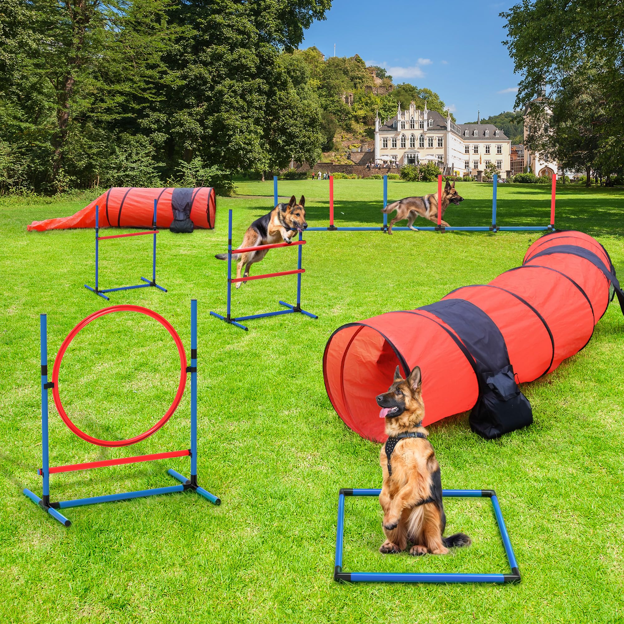 Yitahome Dog Agility Training Equipments: Includes Flirt Pole Accessorie, 3 Flying Discs, 2 Agility Tunnel, 3 Jumps, 6 Weave Pol