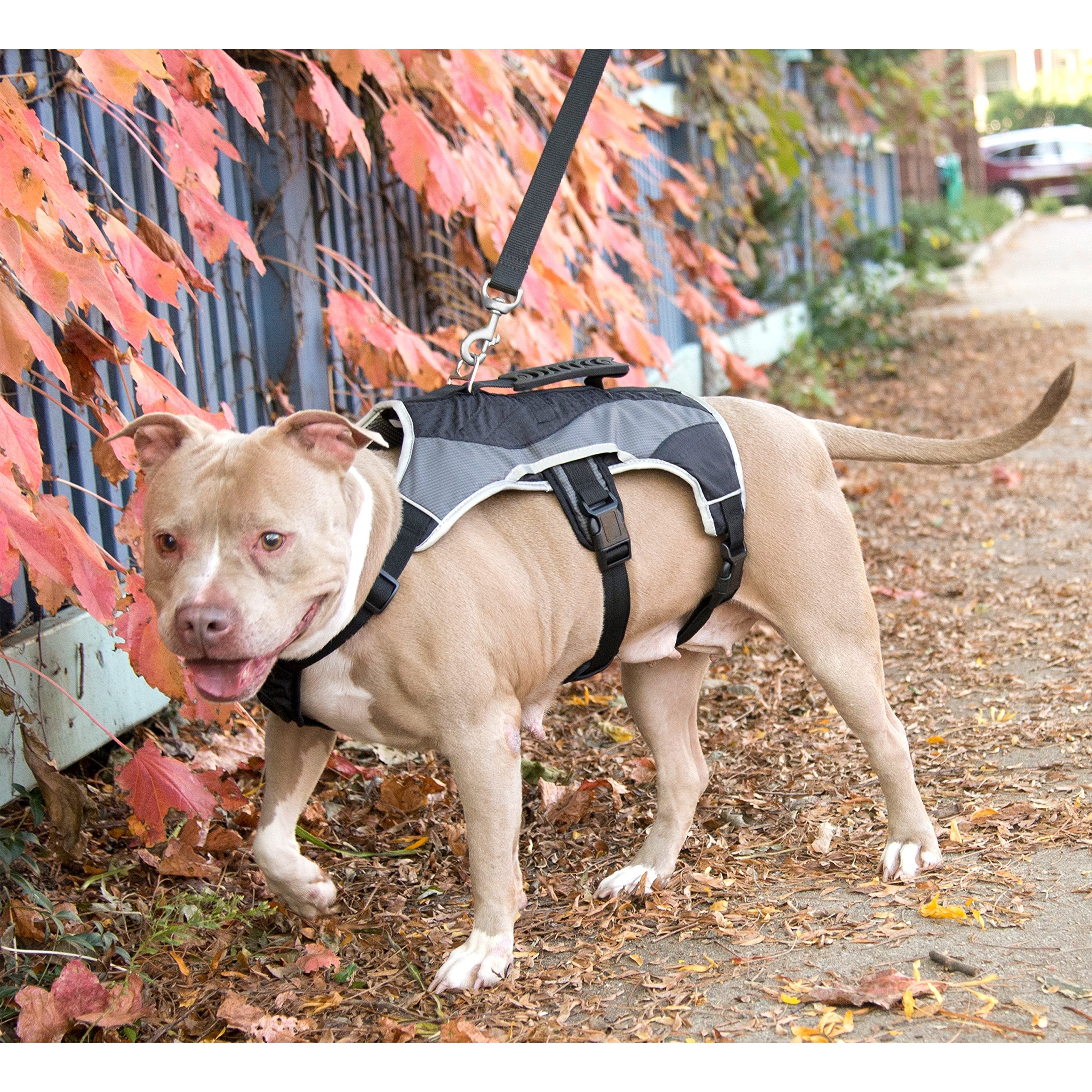 Peak Pooch - No-Pull Dog Harness - Padded, Mesh Fabric Dog Vest with Reflective Trim, Lifting Handles and Buckle Straps - Black