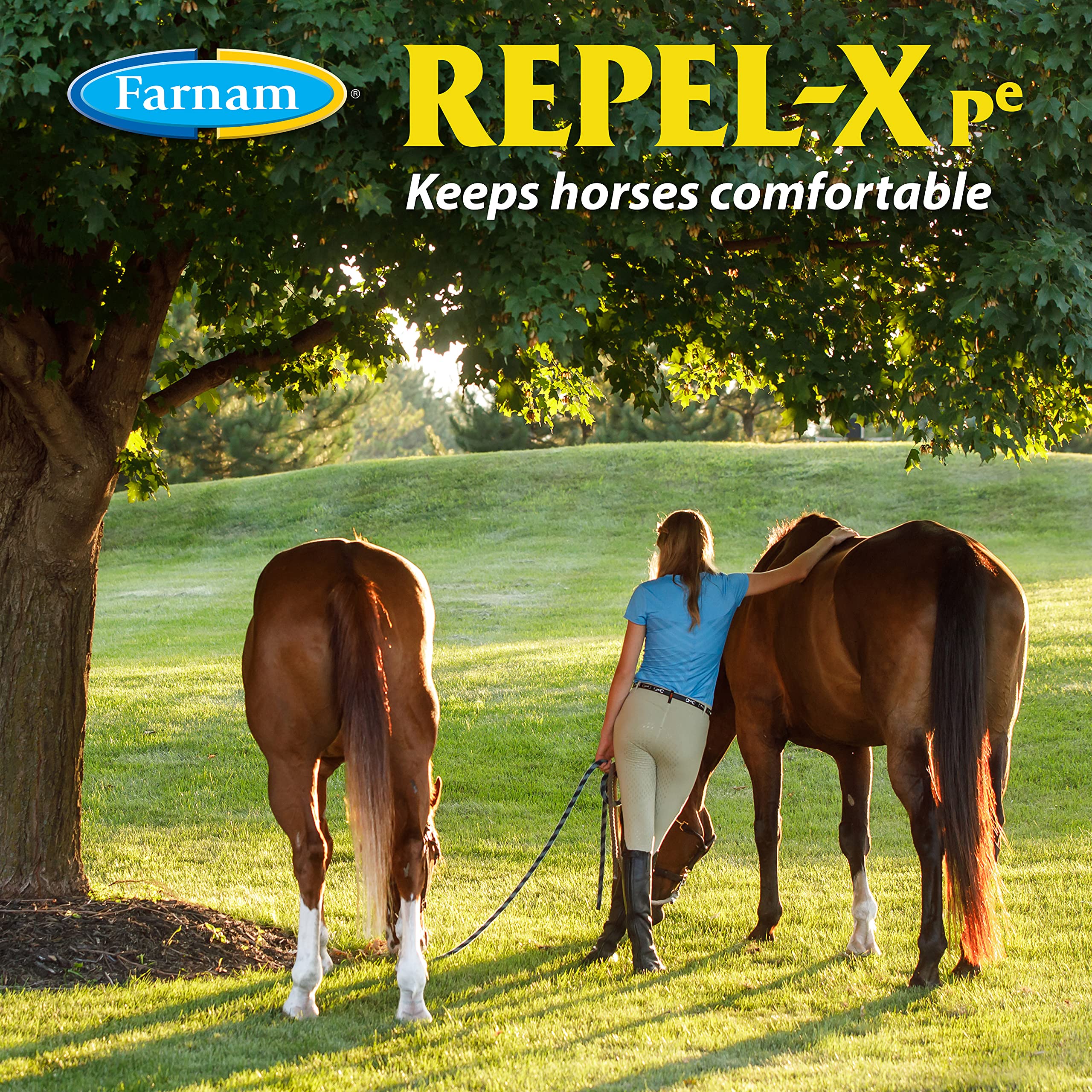Farnam Repel-X Ready-To-Use Fly Spray, Insecticide And Repellent For Horses And Dogs, 32 Fluid Ounces, 1 Quart Bottle With Trigg