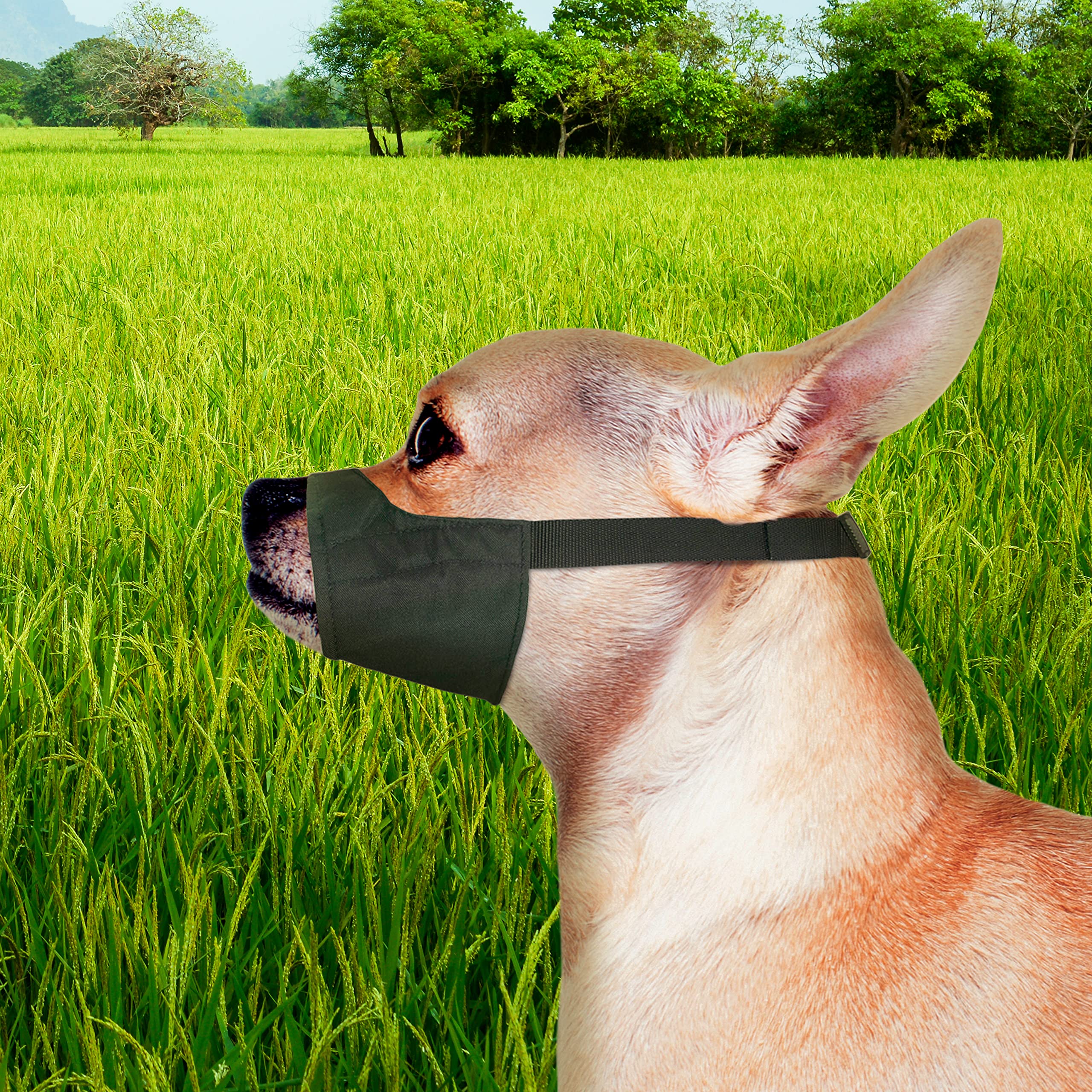 Four Paws Walk-About Quick-Fit Dog Muzzle 0-Xx-Small