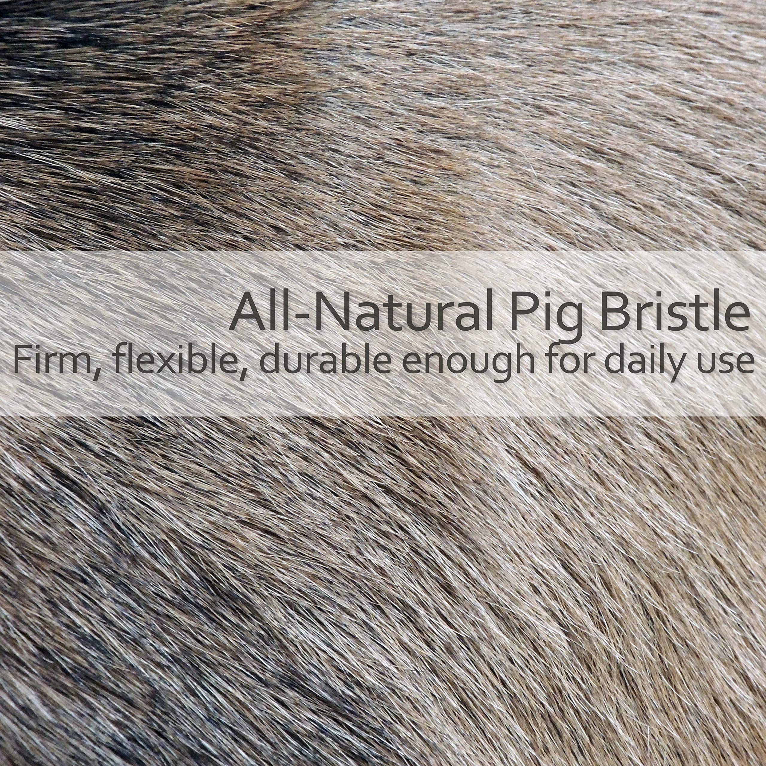 Redecker Natural Pig Bristle Dog Brush With Waxed Beechwood Handle, 9-1/4-Inches