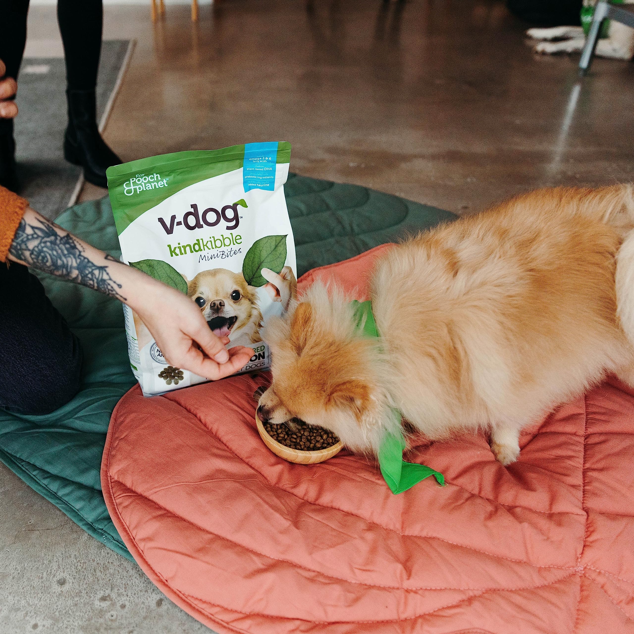 V-dog Vegan Mini Kibble Dry Dog Food (4.5 LB) Small Breed Dogs | Plant-Based Protein with Added Taurine for Sensitive Stomach an