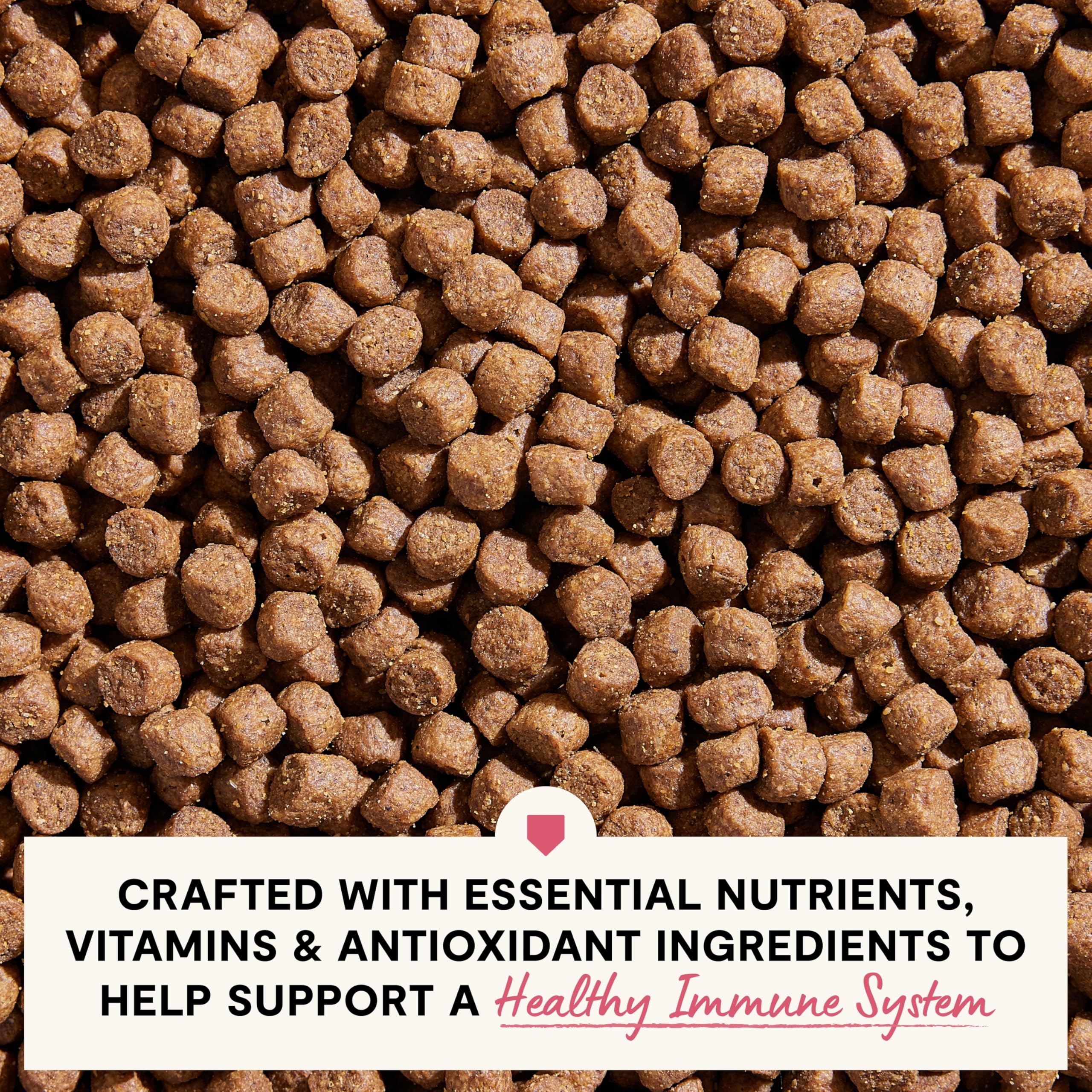 Open Farm, Skin & Coat Health Dog Food, Veterinarian Formulated Kibble with Salmon Oil and Vitamin E to Support Healthy Skin & A