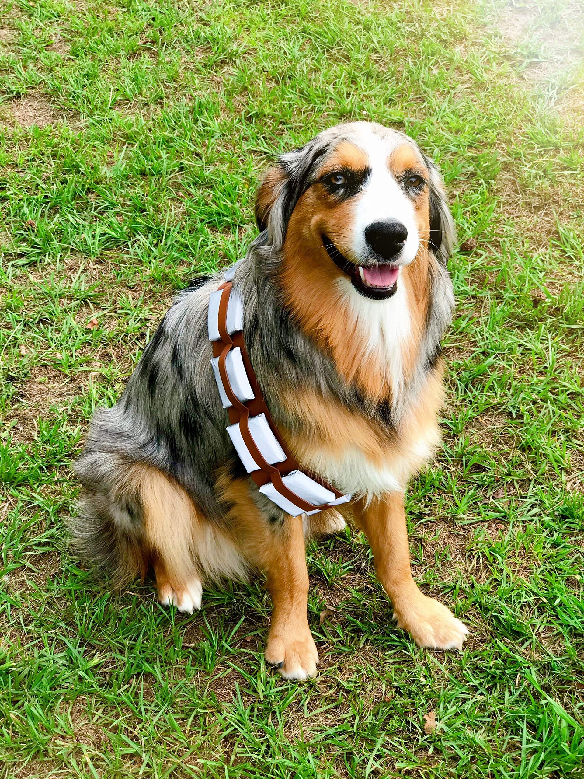 Comfycamper Utility Belt Dog Halloween Costume Adjustable - X Large Medium Small French Lab Cosplay Christmas 2024, Large