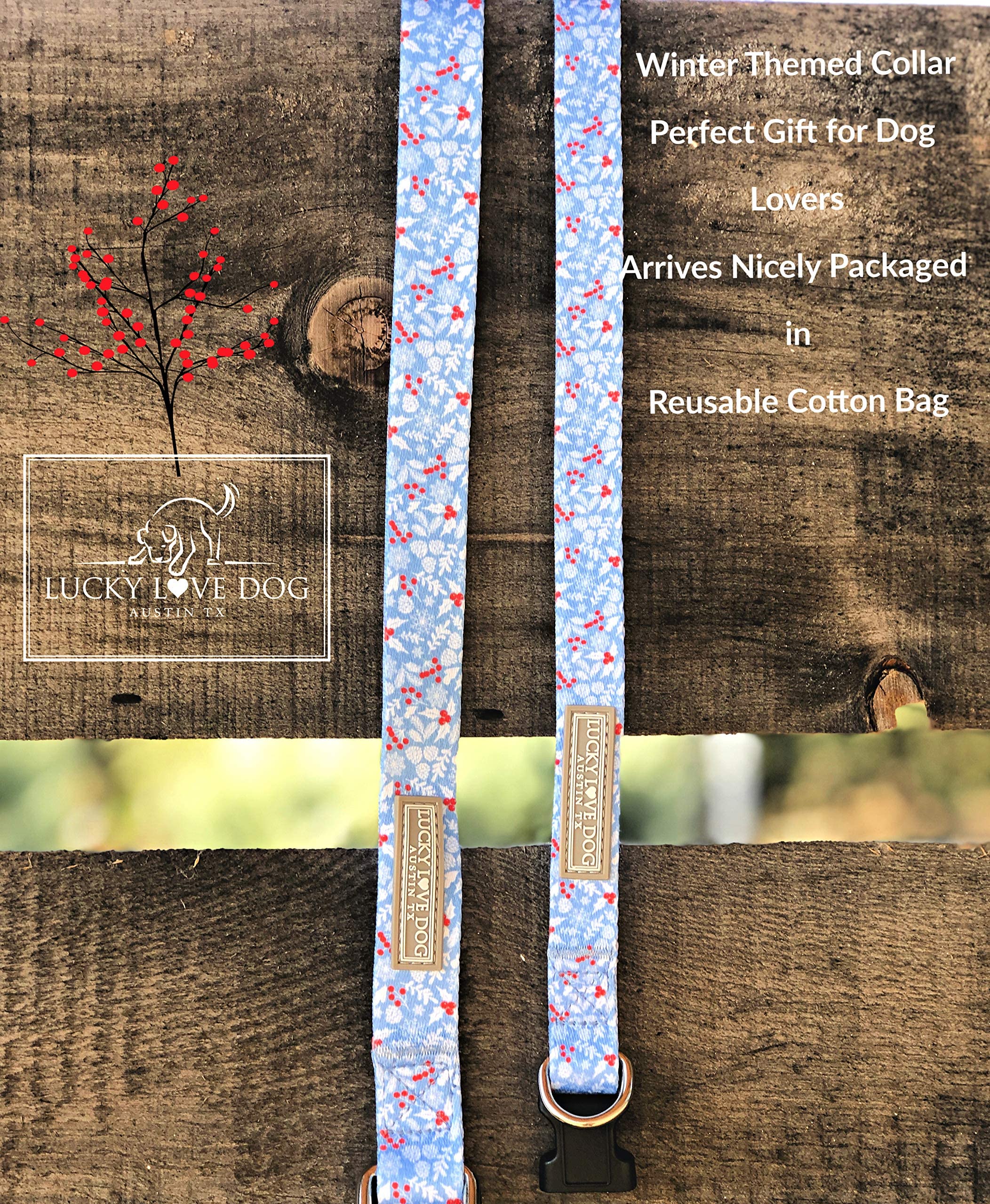 Lucky Love Dog Dog Collar, Leash Set Small, Medium, Large, Premium, Cute And Adjustable Collars For Male And Female Dogs, Winterblue Combo, Extra Small