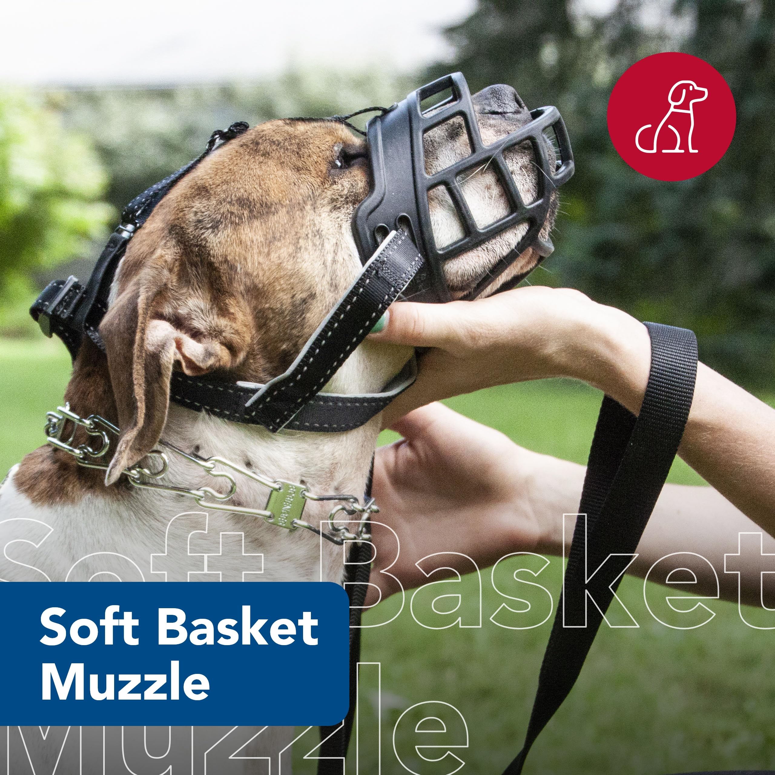 Coastal Pet Soft Basket Muzzle - Custom-Fit For Comfort - Indoor & Outdoor Dog Accessory - Adjustable Strap - Flexible Silicone - Allows Panting & Drinking - Black, 05