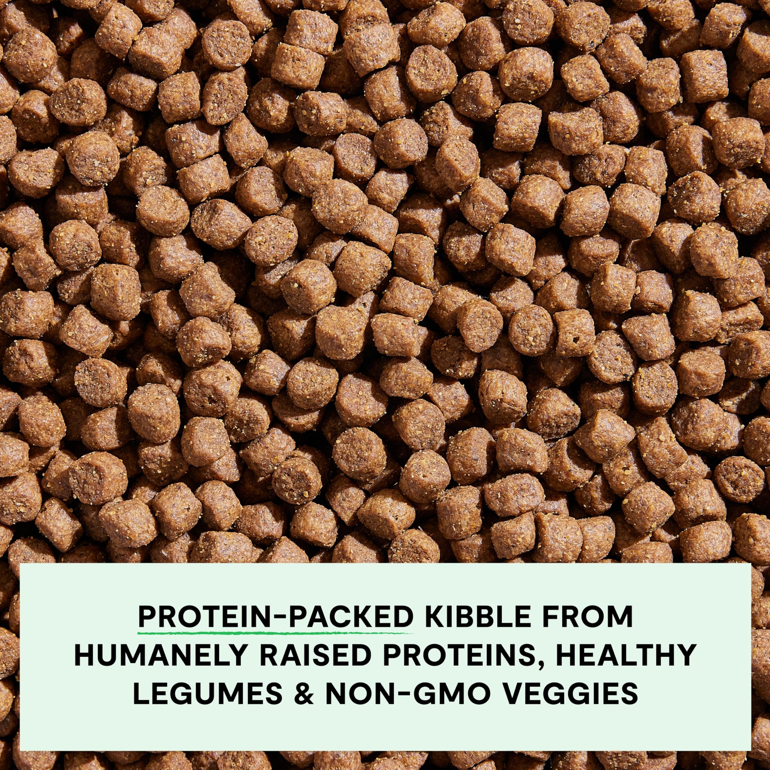 Open Farm Grain-Free Dry Dog Food for Puppies, Salmon & Sweet Potato, 22lb Bag