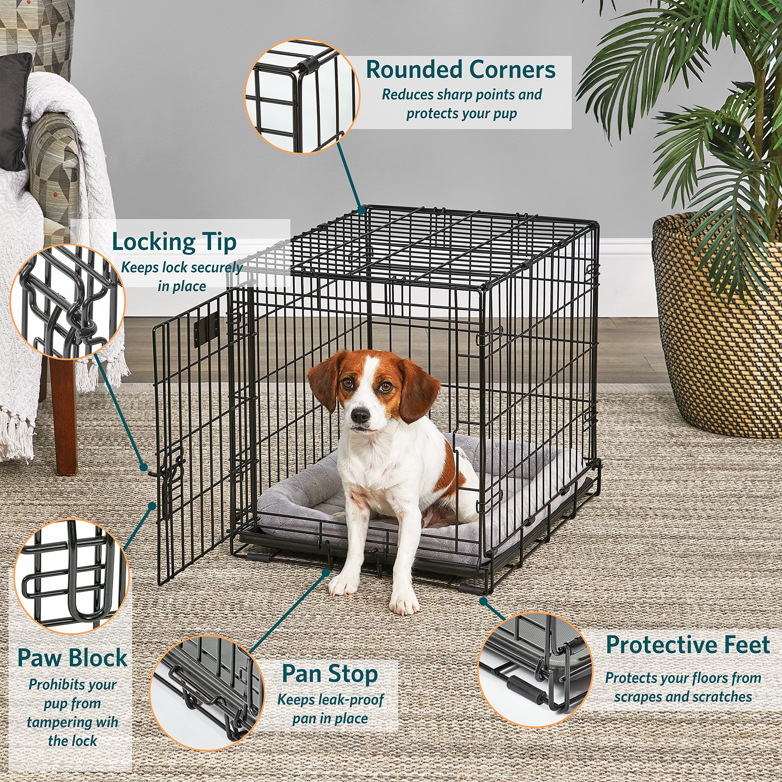 Midwest Homes For Pets Small Dog Crate | Life Stages 24' Folding Metal Crate | Divider Panel, Floor Protecting Feet, Leak-Proof Dog Pan | 24L X 18W X 19H Inches, Small Dog Breed