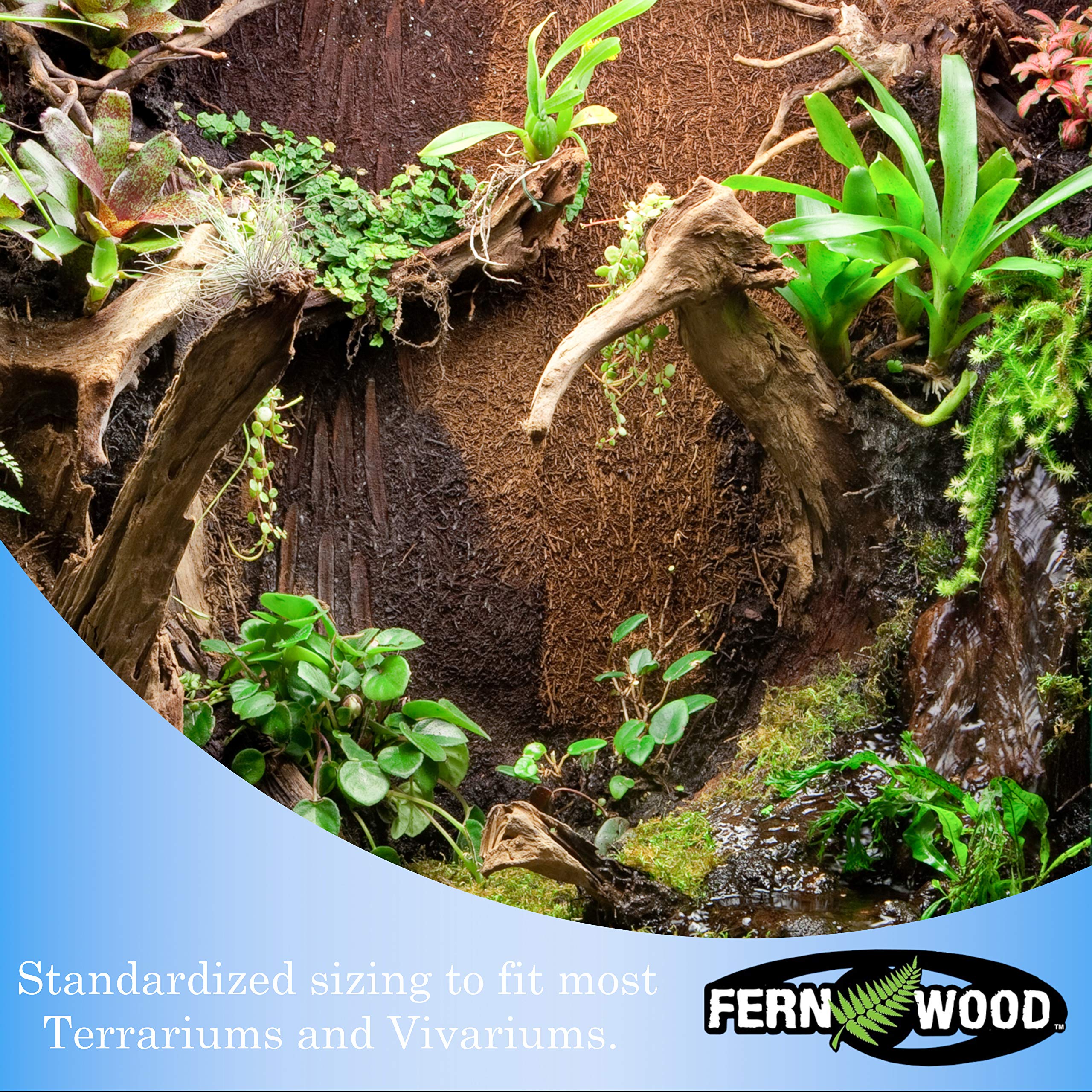 Fernwood Vivarium And Terrarium Background Panels- Made From New Zealand Tree Fern | Natural And Fibrous | For Reptile Tank Back