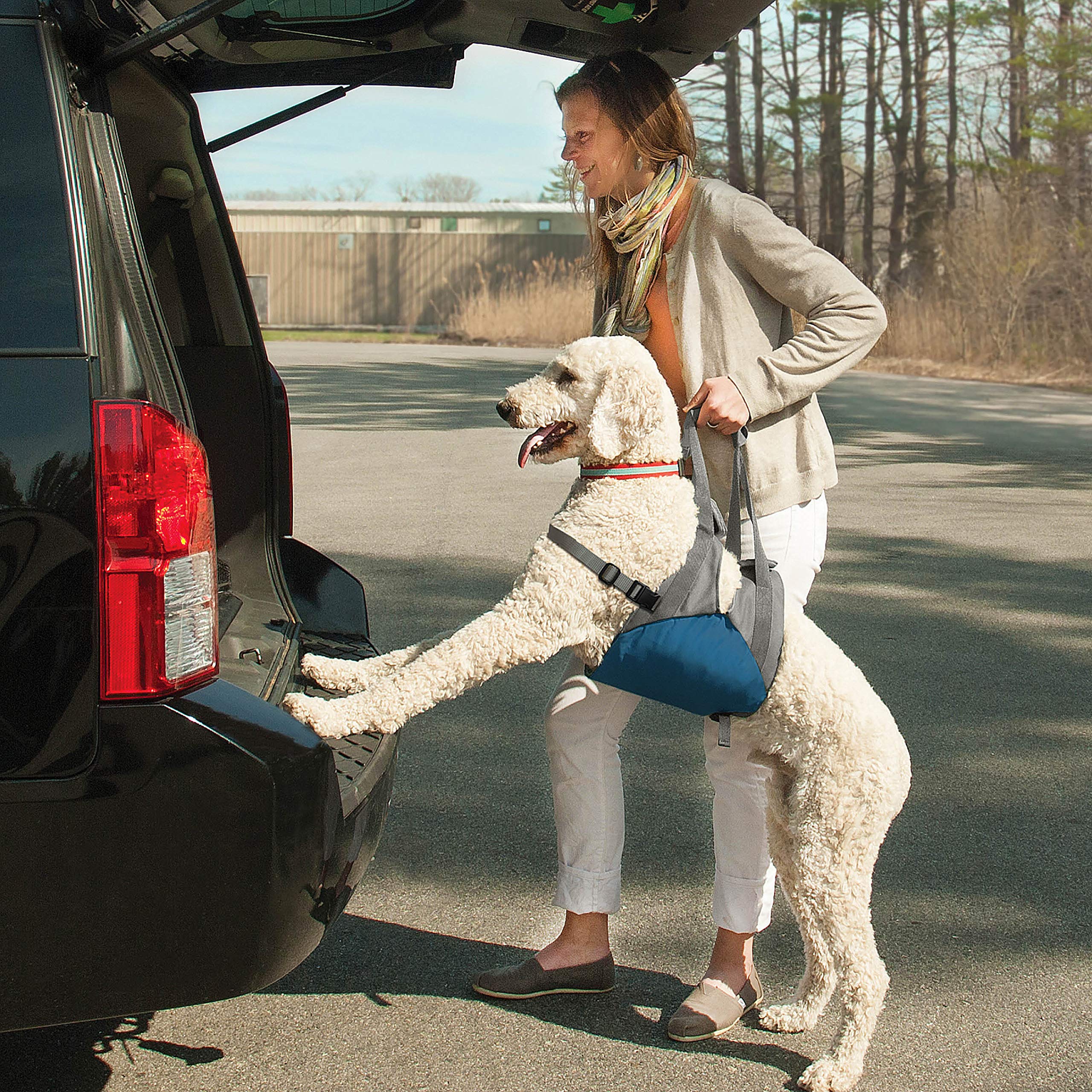 Kurgo Up And About Dog Lifter For Support – Pet Lift Harness Helps Elderly & Disabled Dogs