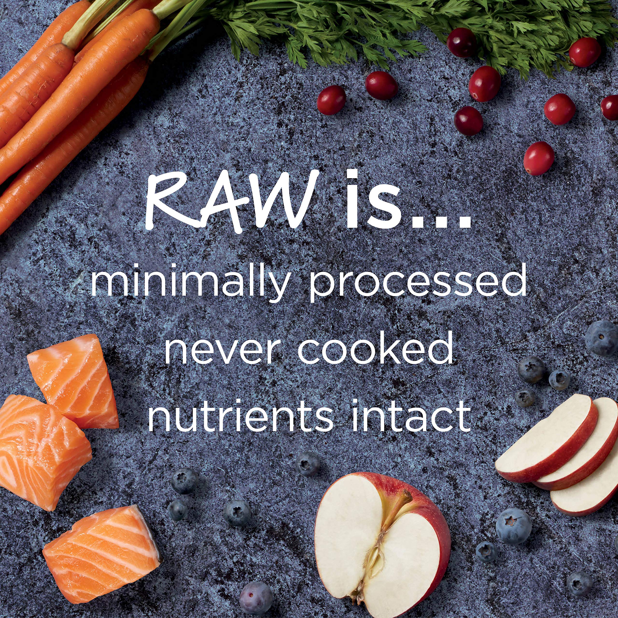 Instinct Raw Boost Grain Free Recipe with Real Salmon Natural Dry Dog Food by Natures Variety, 19 lb. Bag