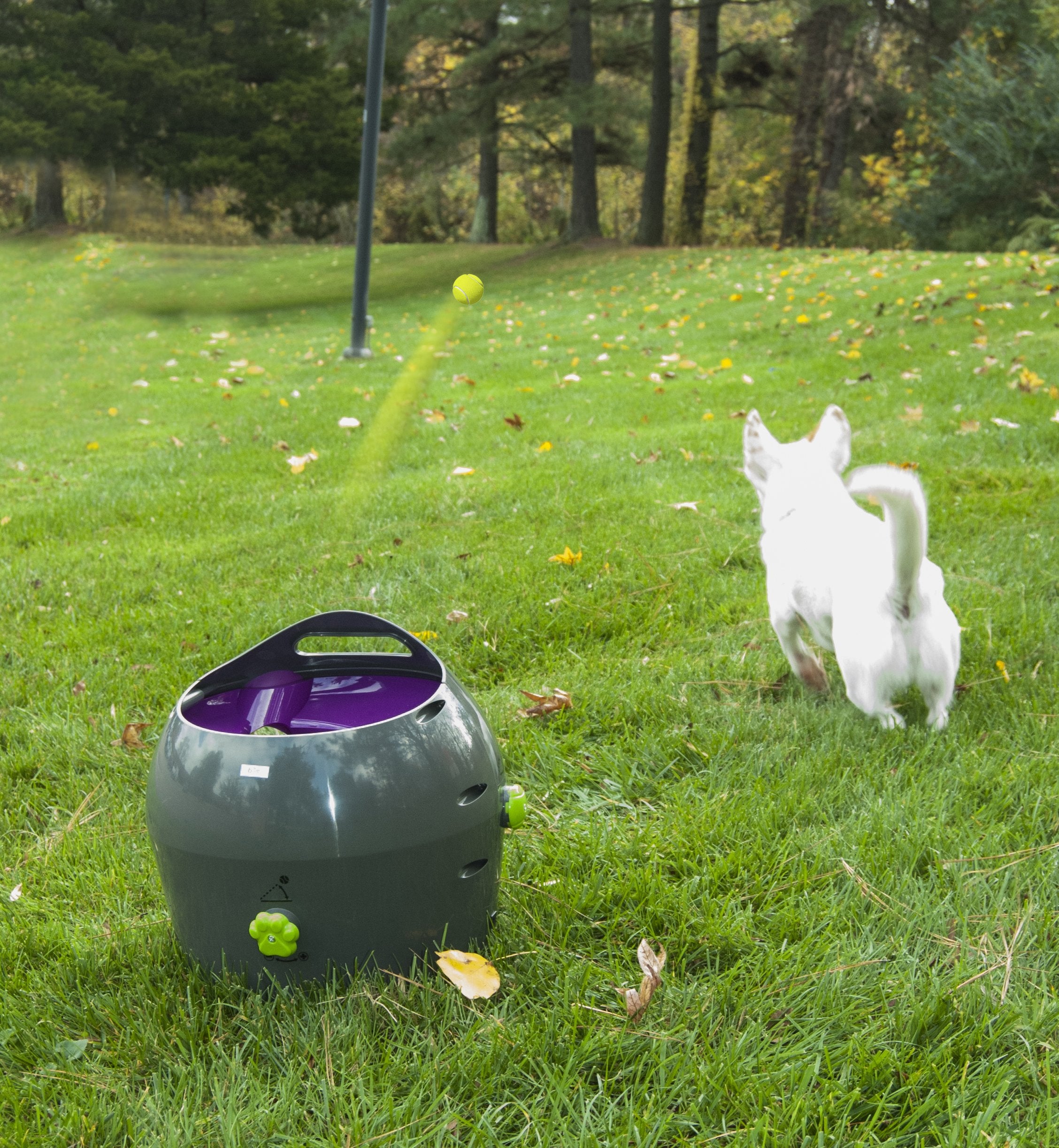 Petsafe Automatic Dog Ball Launcher All Breed Sizes