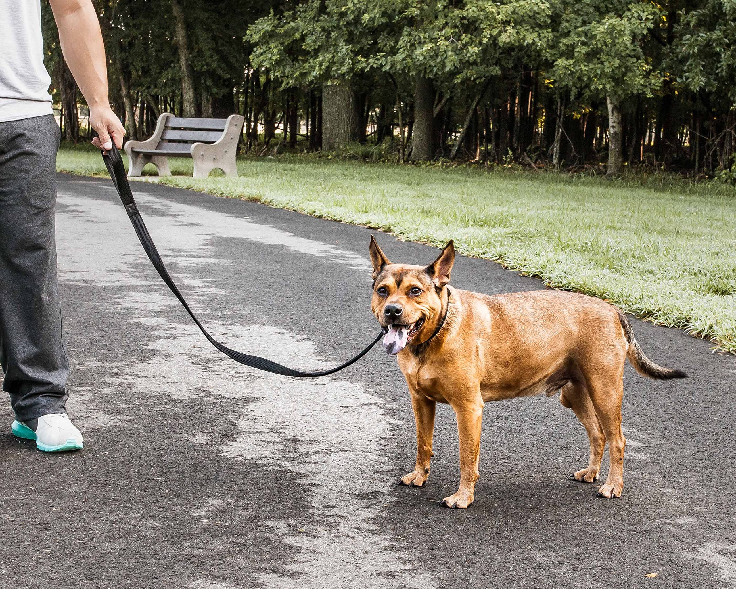 Pet Life ® 'Aero Mesh' 360 Degree Dual Sided Comfortable And Breathable Adjustable Fashion Mesh Dog Collar And Dog Leash For Small Medium And Large Dogs Black
