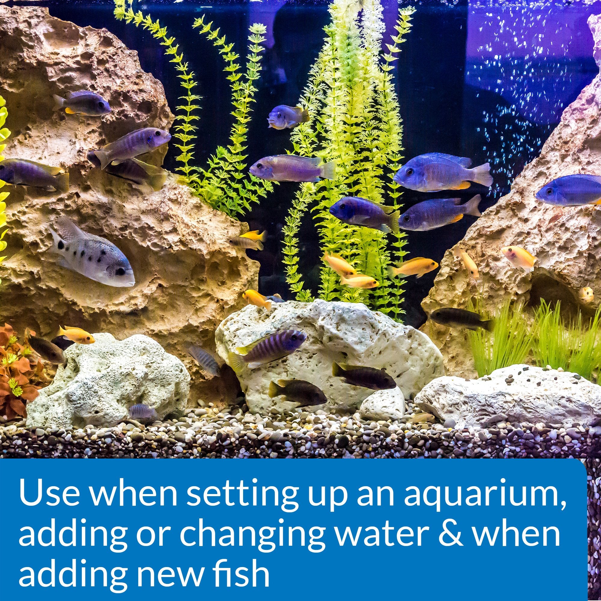 Api Stress Coat Aquarium Water Conditioner 32-Ounce Bottle