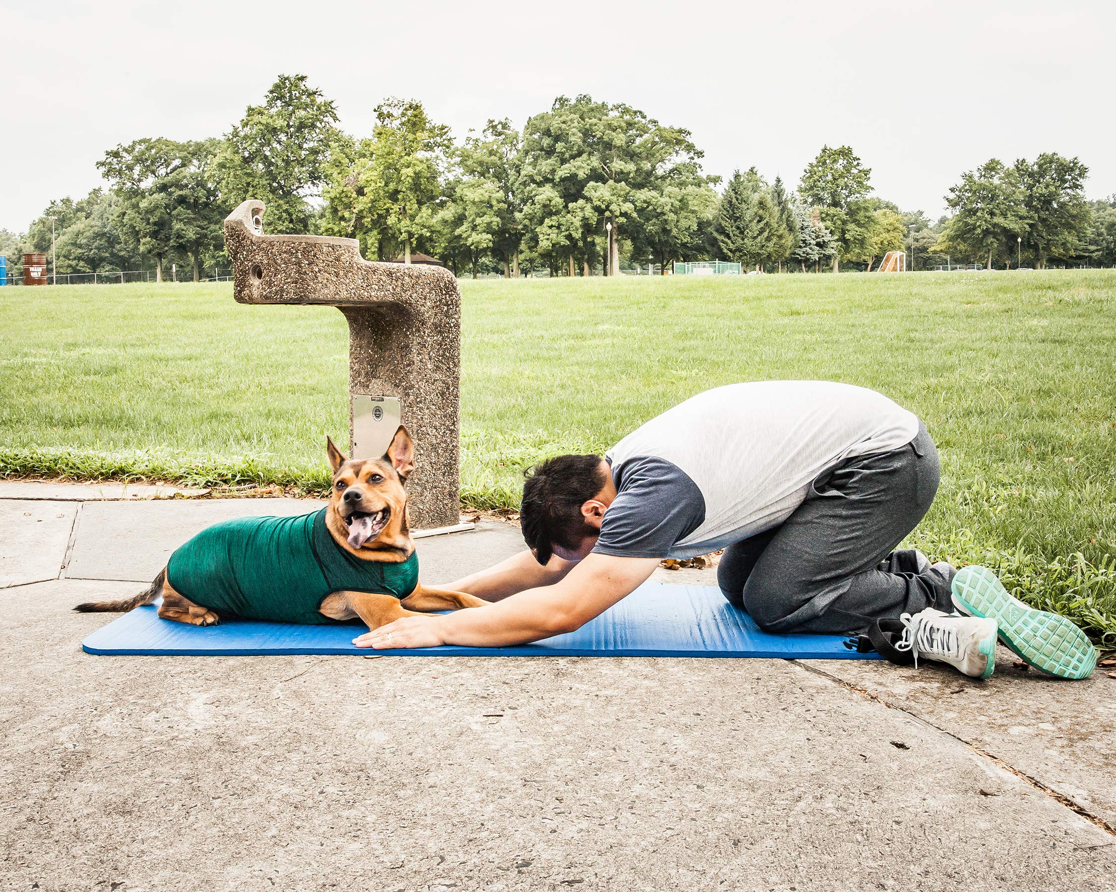 Pet Life Active 'Aero-Pawlse' Heathered Quick-Dry And 4-Way Stretch-Performance Dog Tank Top T-Shirt(D0102H7Ltn7.)