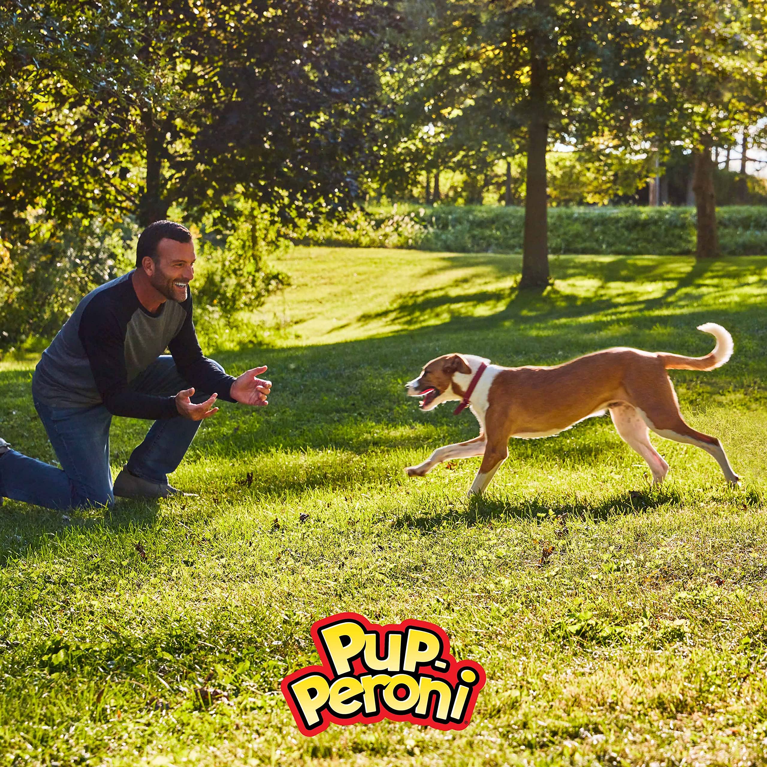 Pup-Peroni Dog Treats, Triple Steak Flavor, 22.5 Ounce, Ribeye, Top Sirloin, NY Strip Flavors