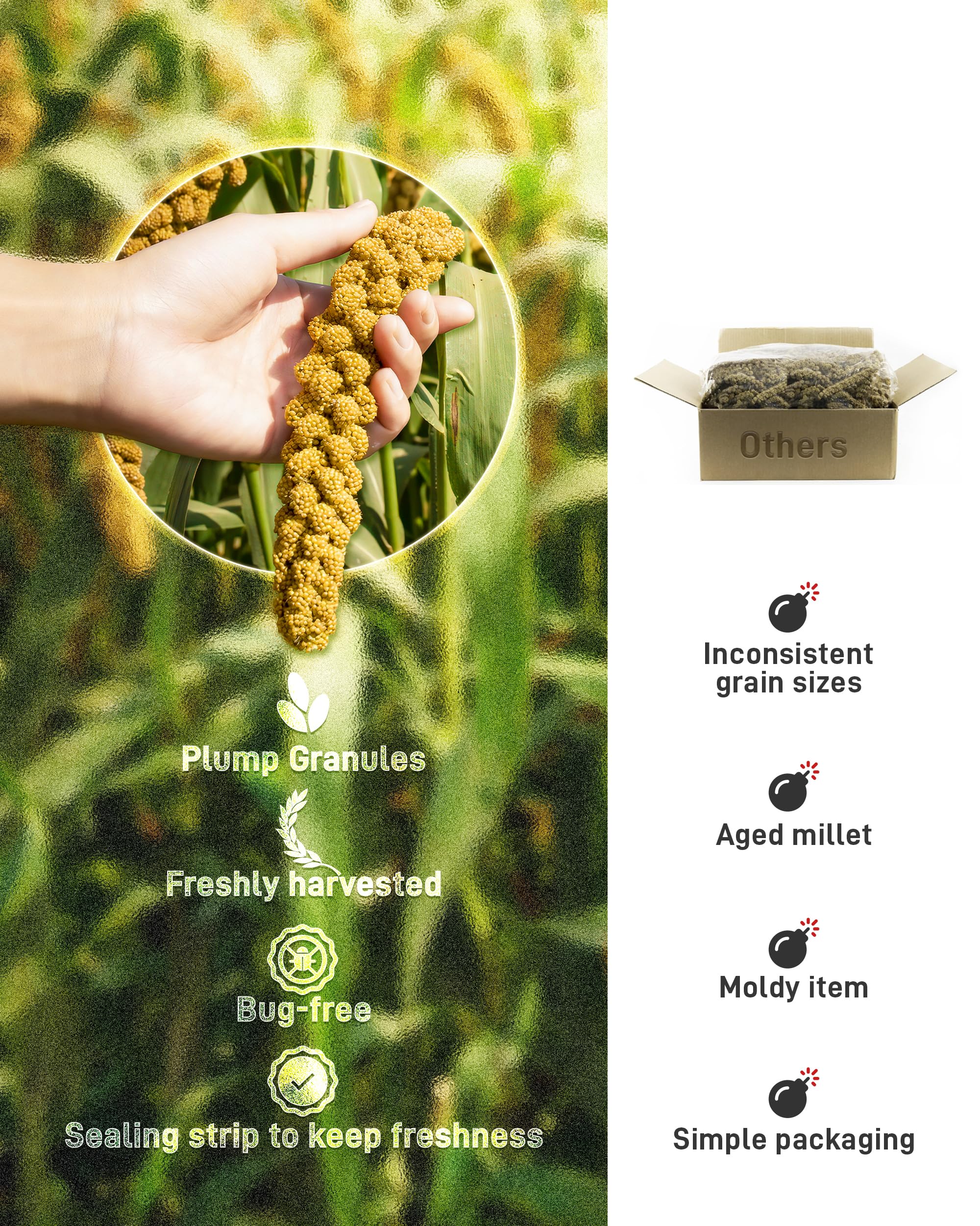 BUCATSTATE 2.2lbs Millet for Birds, Sun-Dried Parakeet Food for Parrot, Budgie, Cockatiel, Finches, Lovebird, GMO-Free Parakeet