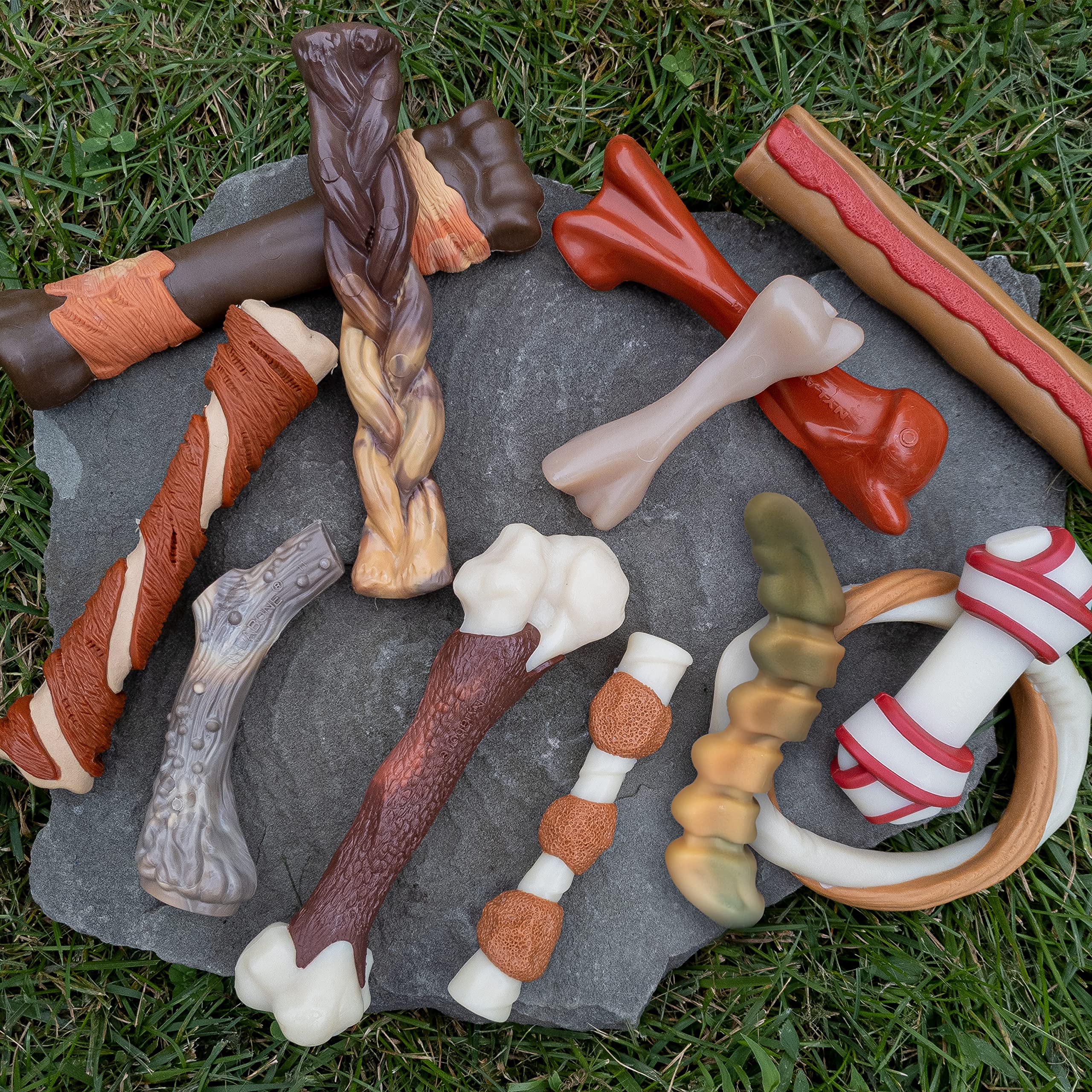 Nylabone Power Chew Gator Tail Alternative Dog Chew Chicken Large/Giant (1 Count)