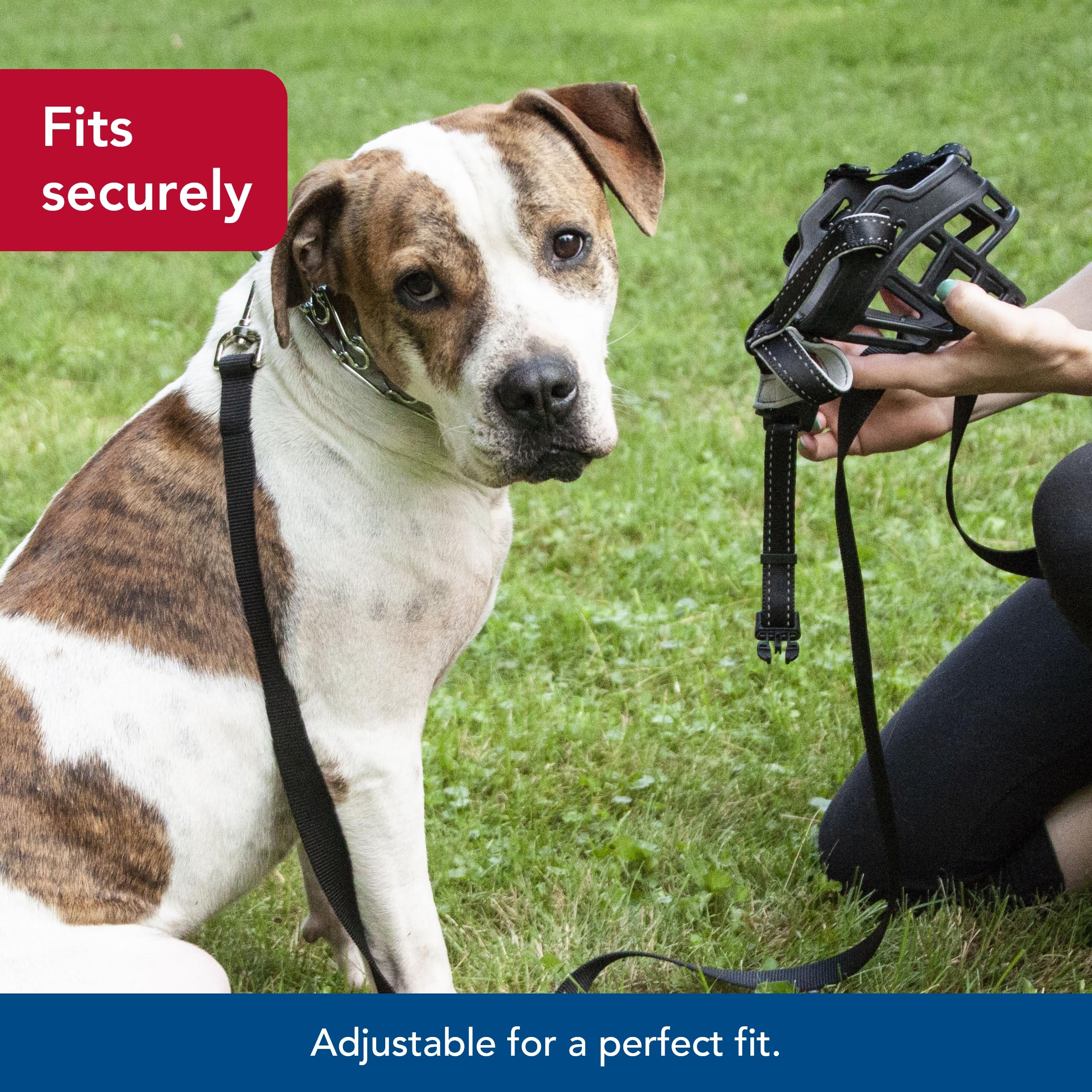 Coastal Pet Soft Basket Muzzle - Custom-Fit For Comfort - Indoor & Outdoor Dog Accessory - Adjustable Strap - Flexible Silicone - Allows Panting & Drinking - Black, 02