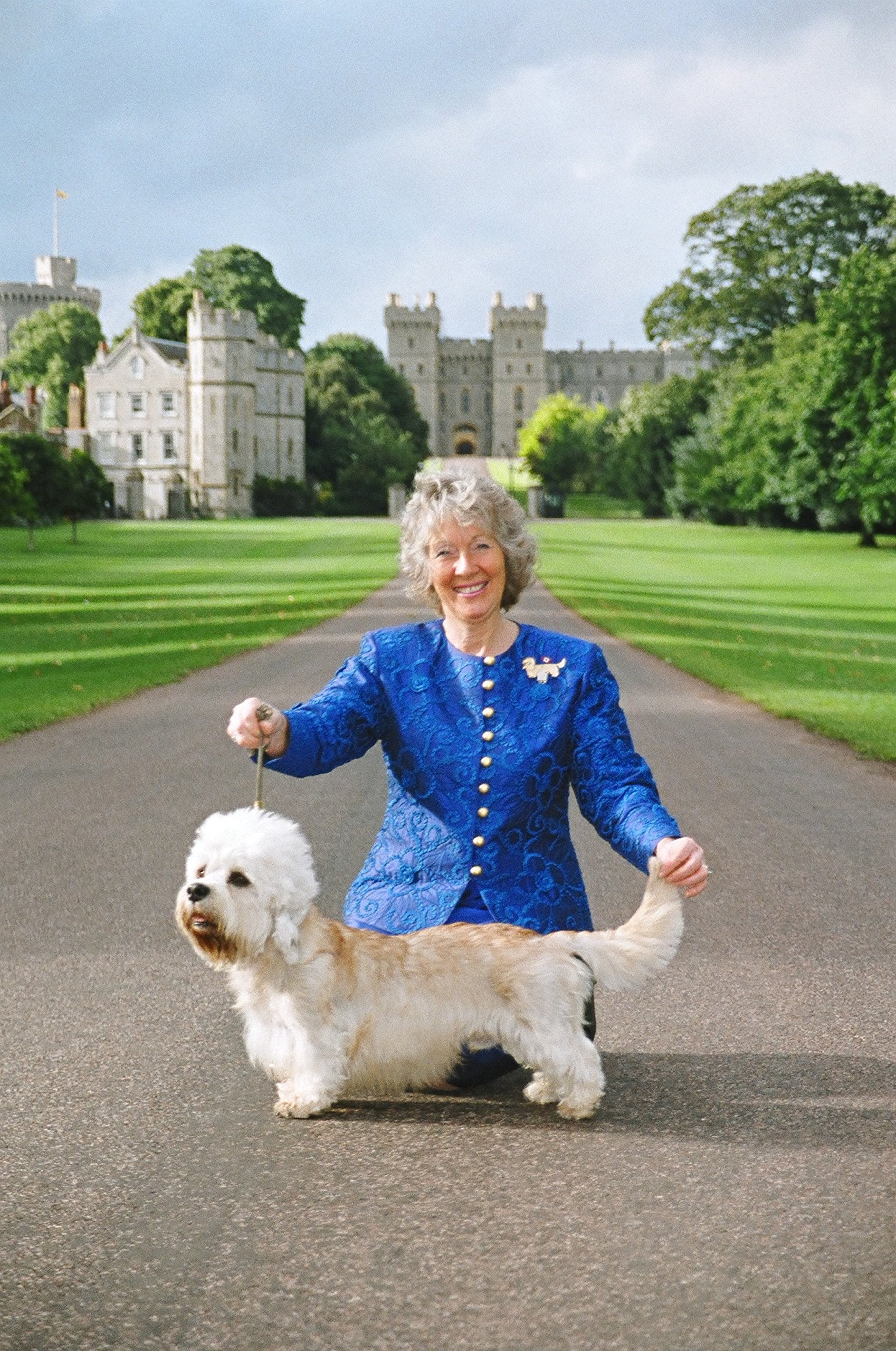 Resco Professional Cordo-Hyde Dog Show Lead, 3/8-Inch X 60-Inch Long, Black