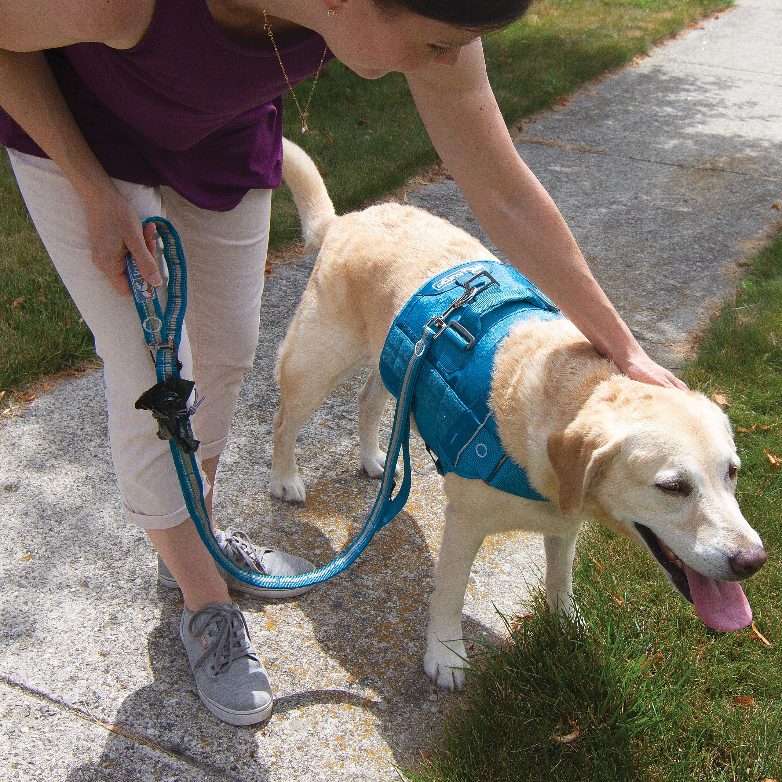 Kurgo Rsg Stub Leash For Dogs | Adjustable Dog Leash | Hands Free Dog Leash For Walking, Jogging, Or Running | Customizable Molle-Compatible Pet Lead | Training Handle | Web Keeper | Reflective | 48”