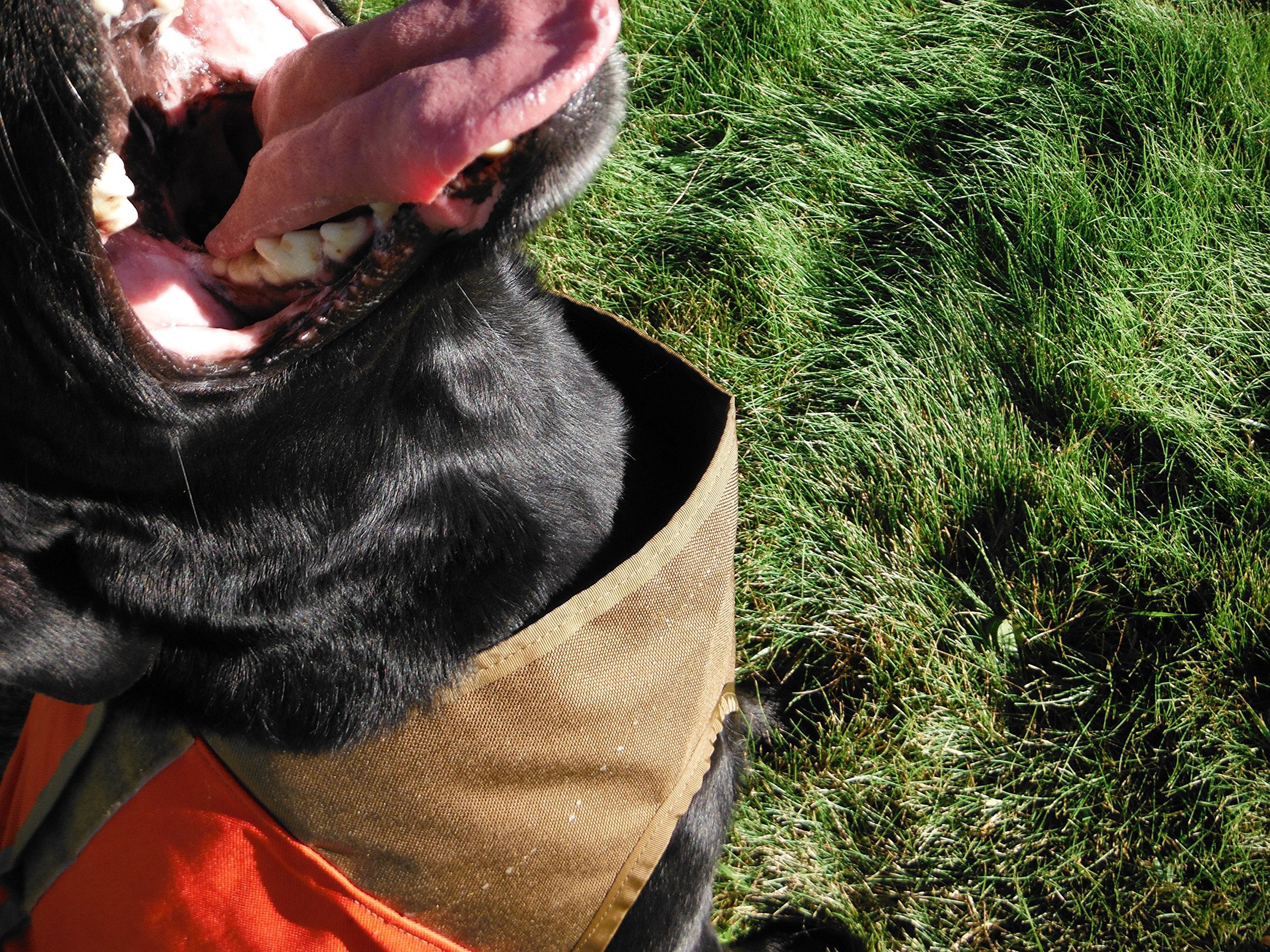 CUGA Vest Serious Protection for The Active Dog (MED, Orange/Coyote)