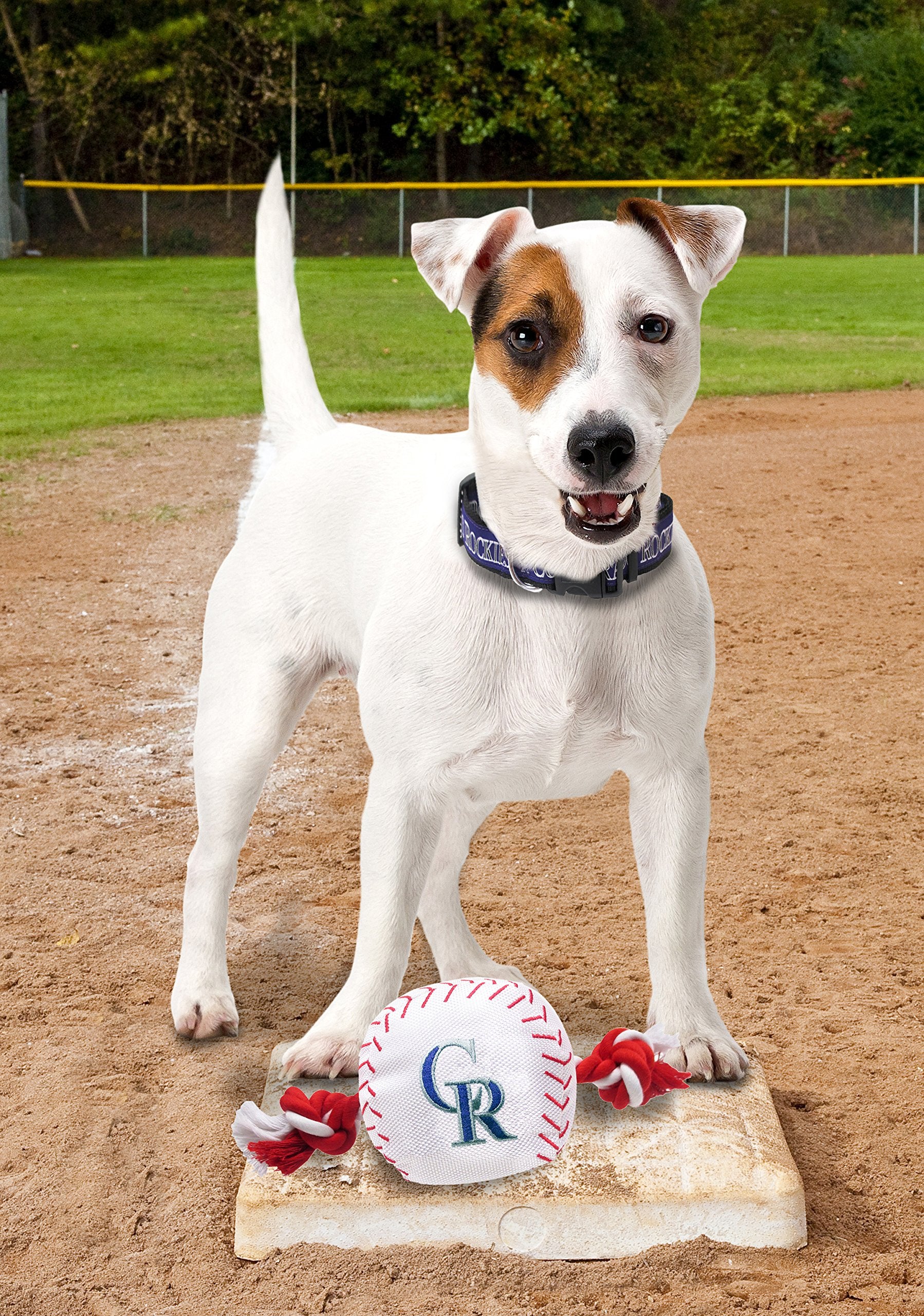 Mlb Colorado Rockies Baseball Rope Toy For Dogs & Cats. Tough Nylon, Sporty Baseball Design, Heavy-Duty Ropes With Inner Squeake