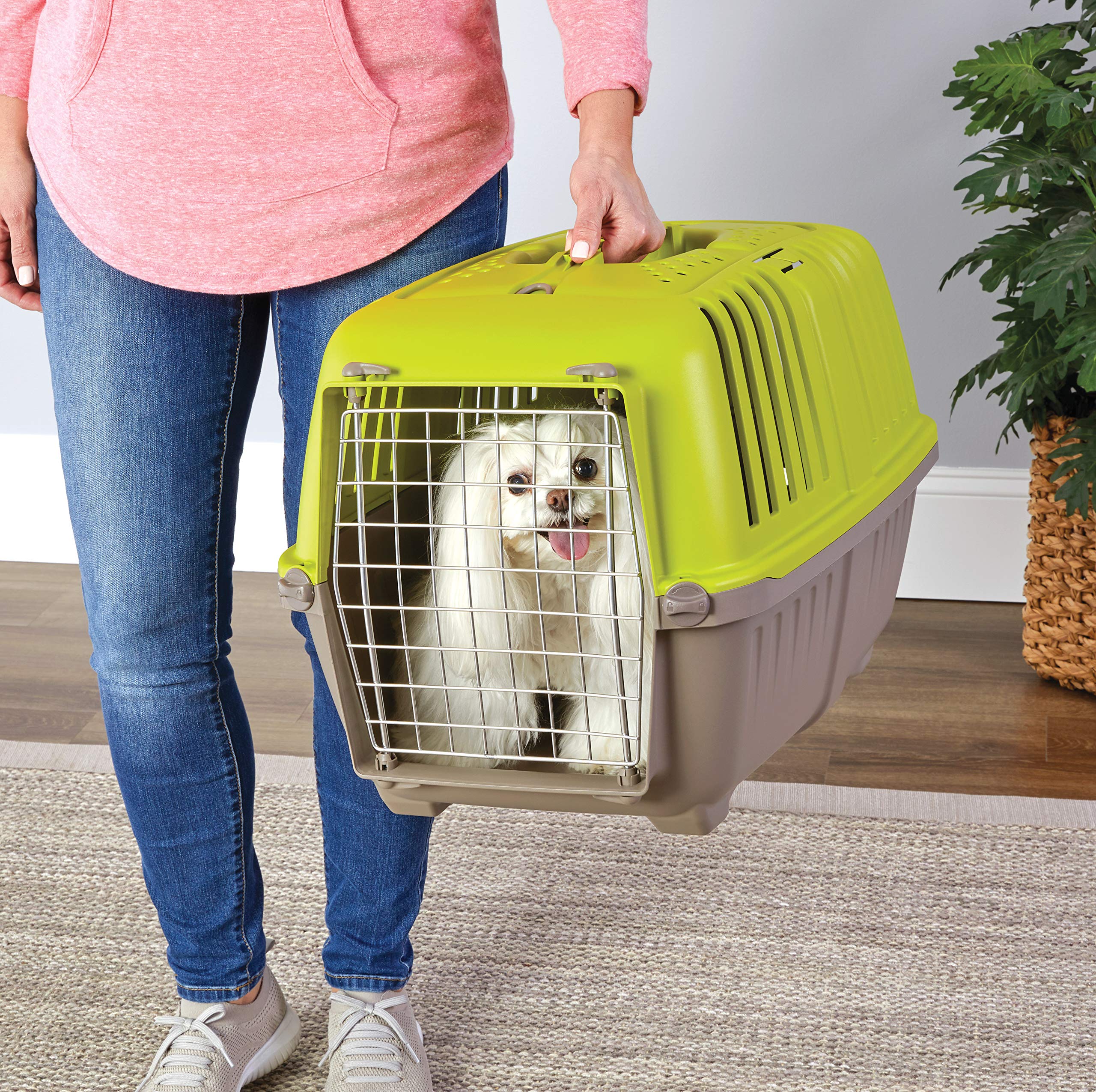 Midwest Homes For Pets Spree Travel Pet Carrier, Dog Carrier Features Easy Assembly And Not The Tedious Nut & Bolt Assembly Of Competitors, Green, 24-Inch Small Dog Breeds (1424Spg) (Pack Of 1)