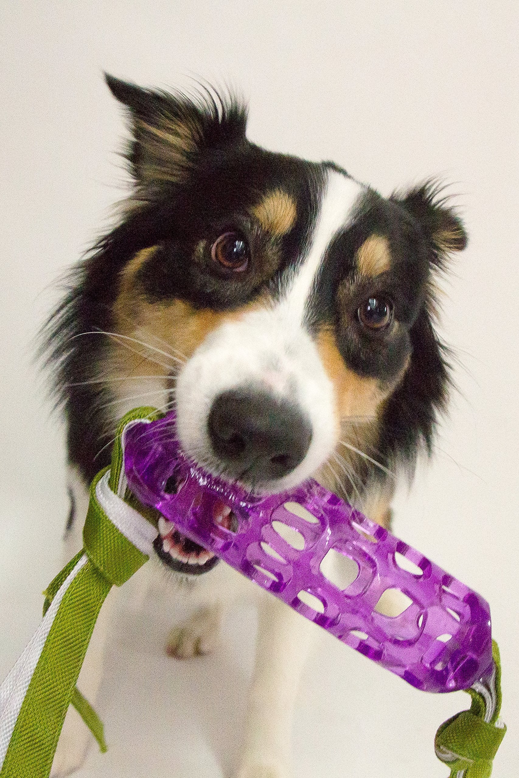 Caitec Corp (Caiab) Hero Tugtime Soft Rubber Baton, Purple Dog Toy