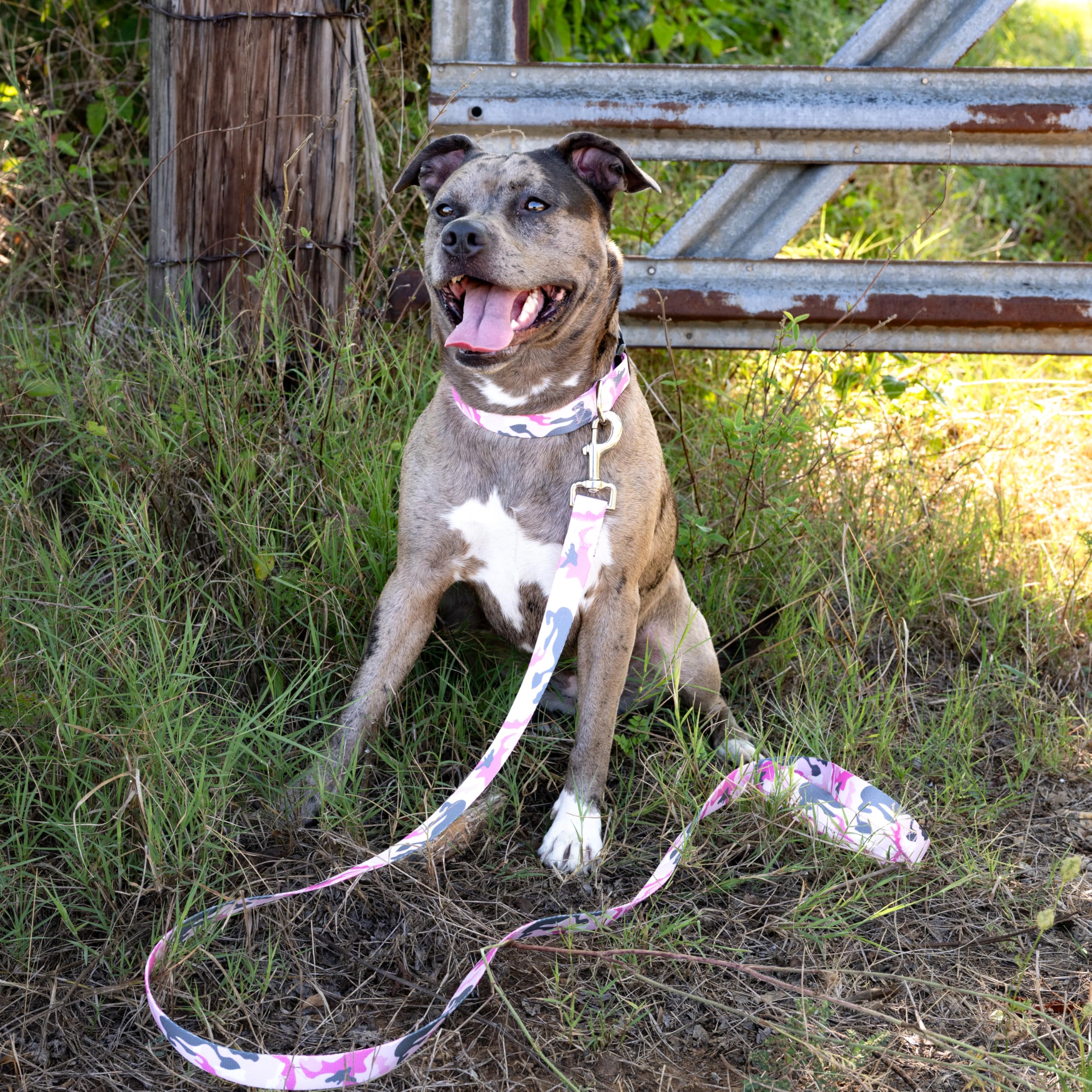 Country Brook Petz - Deluxe Pink And Grey Camo Dog Collar - Made In The U.S.A. - Camouflage Collection Featuring Rugged Designs