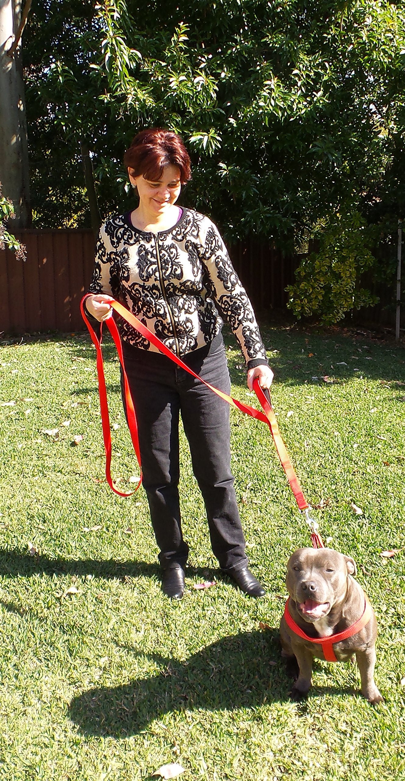 Primal Pet Gear Dog Leash 6Ft Long,Traffic Padded Two Handle,Heavy Duty,Reflective Double Handles Lead For Control Safety Training,Leashes For Large Dogs Or Medium Dogs,Dual Handles Leads(Red)