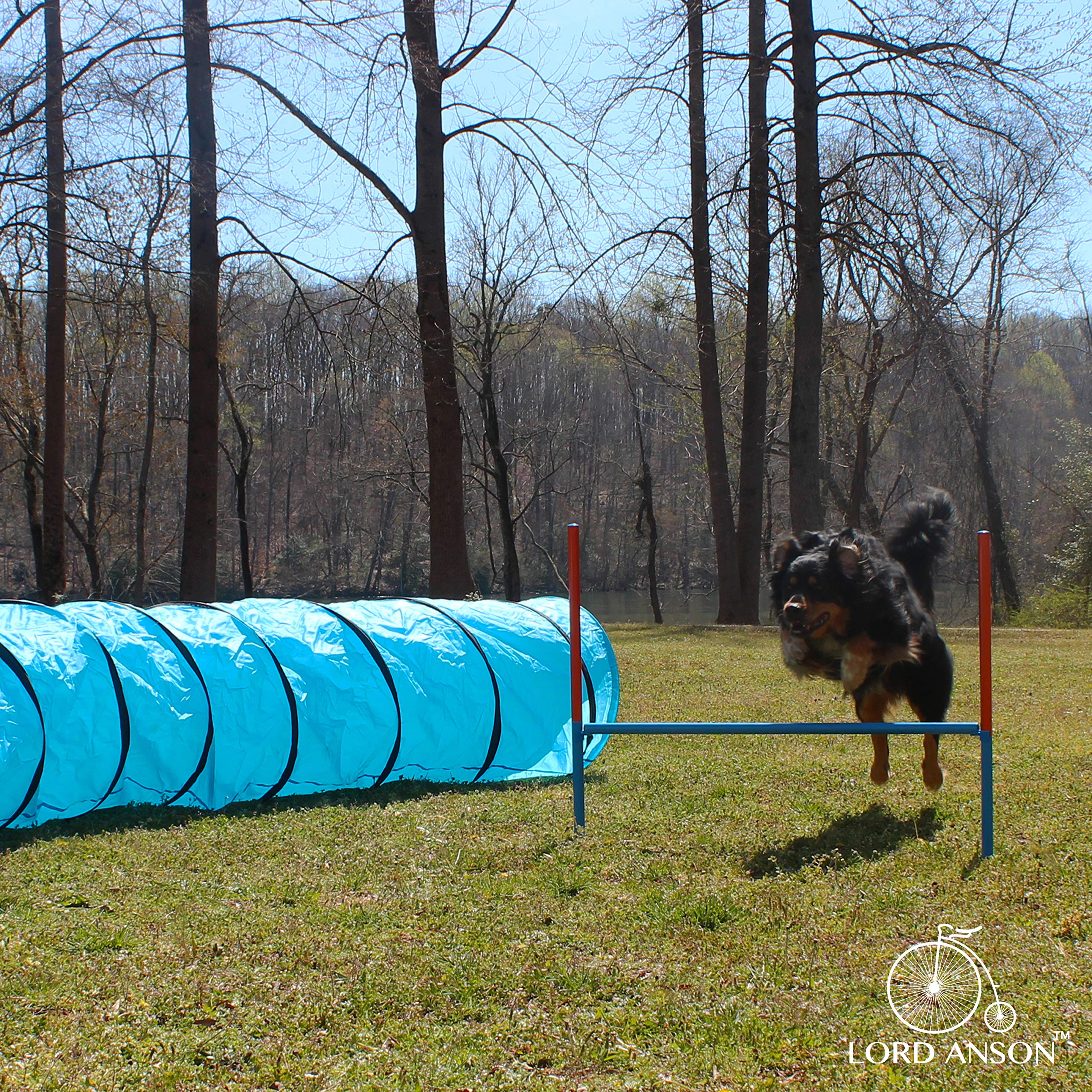 Lord Anson Dog Agility Set - Dog Agility Equipment - 1 Dog Tunnel, 6 Weave Poles, 1 Dog Agility Jump - Canine Agility Set For Dog Training, Obedience, Rehabilitation