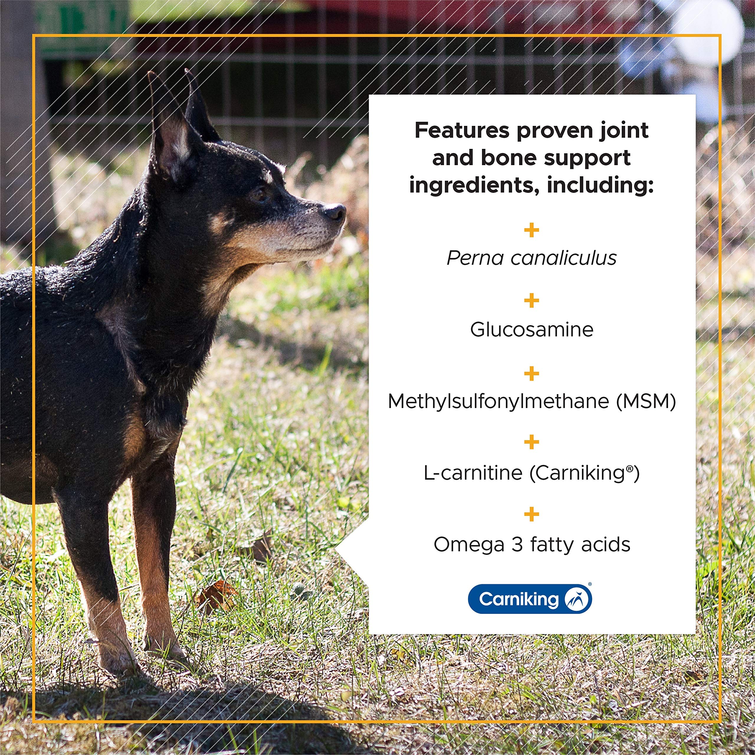 VetriScience Golden Years Strength and Stability Hip and Joint Chews for Senior Dogs, Chicken, 60 Chews - Limping, Mobility, Run