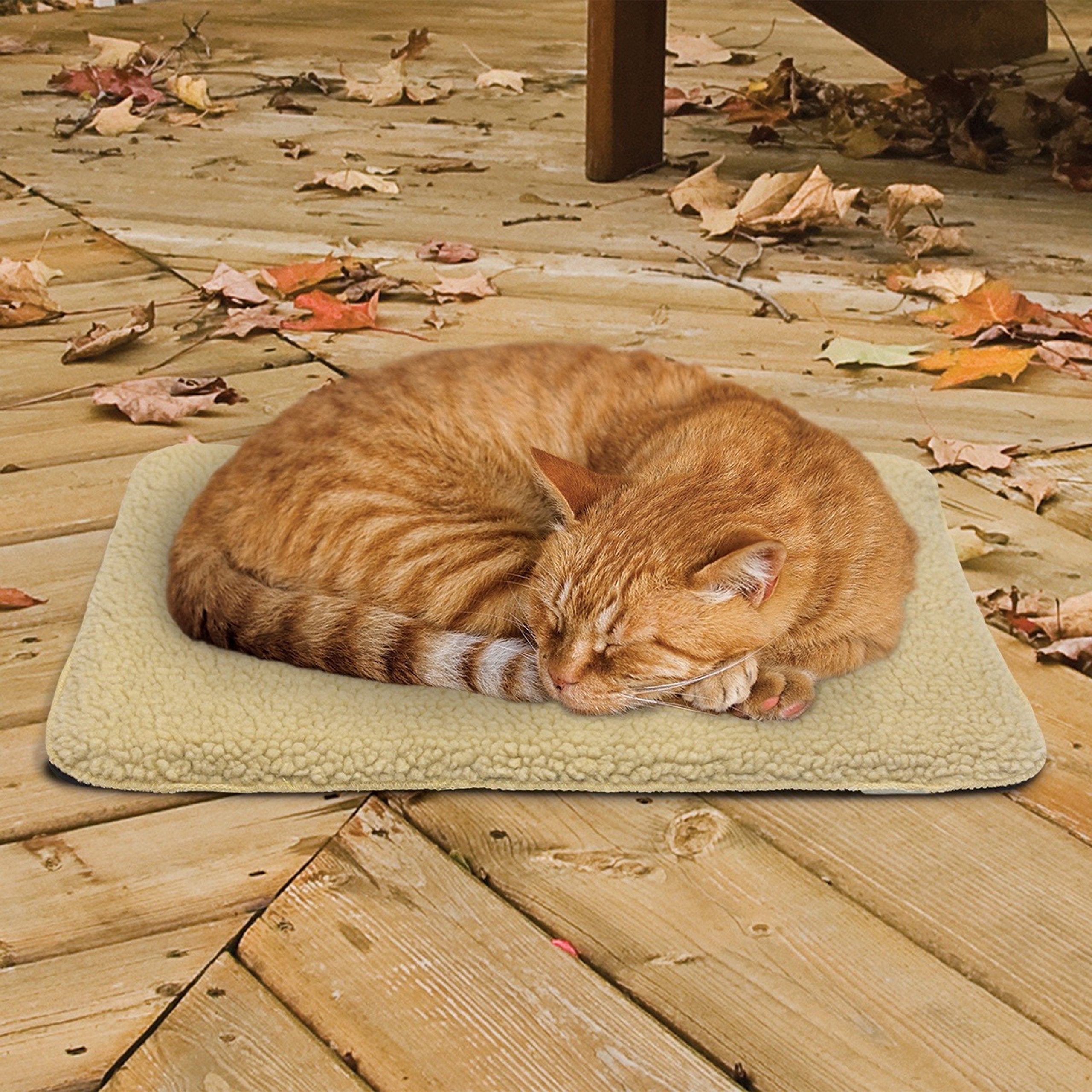 Sunbeam Sbchps Heated Cat Mat